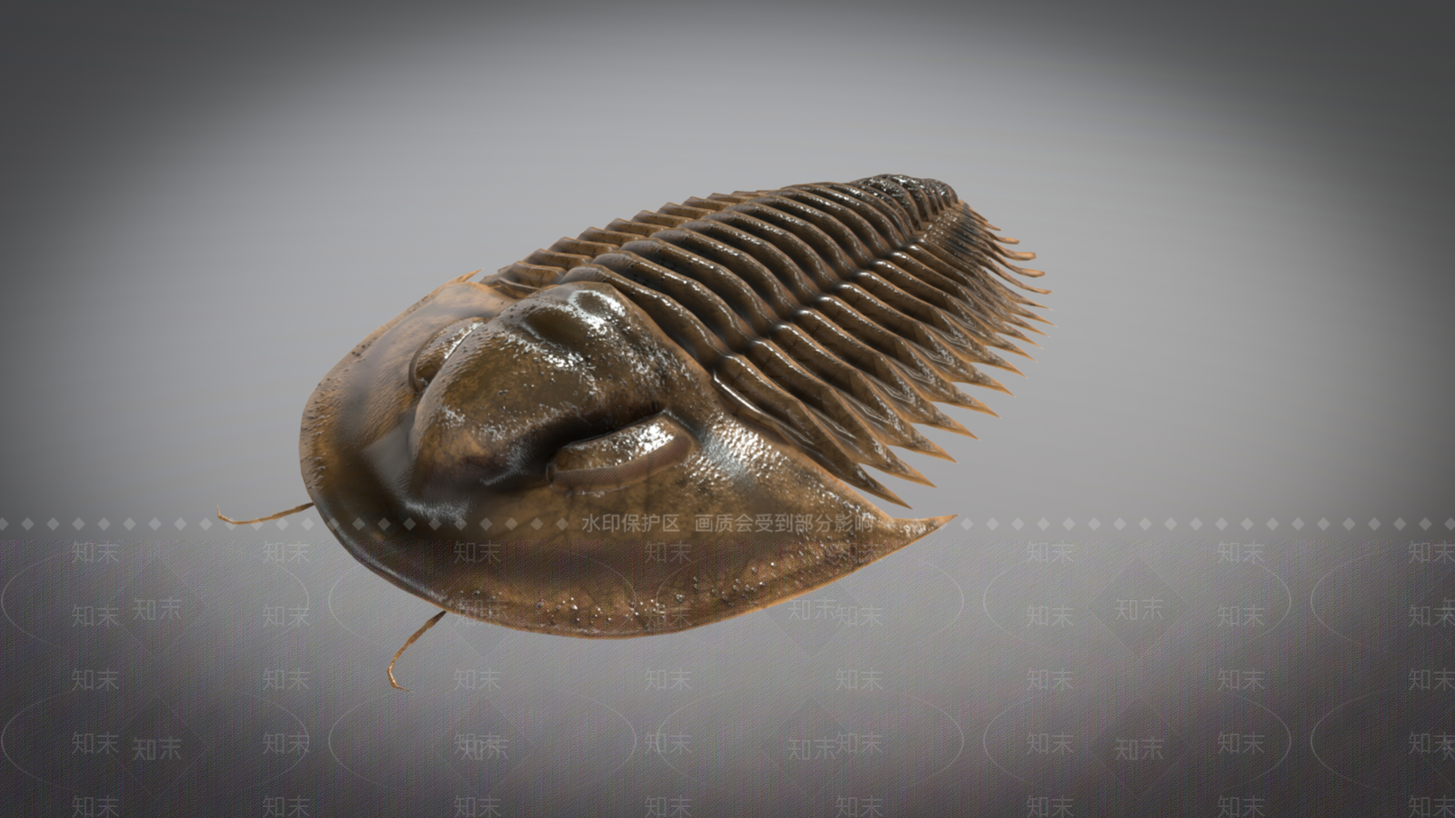 爬行类动物3D模型下载【ID:1164958885】