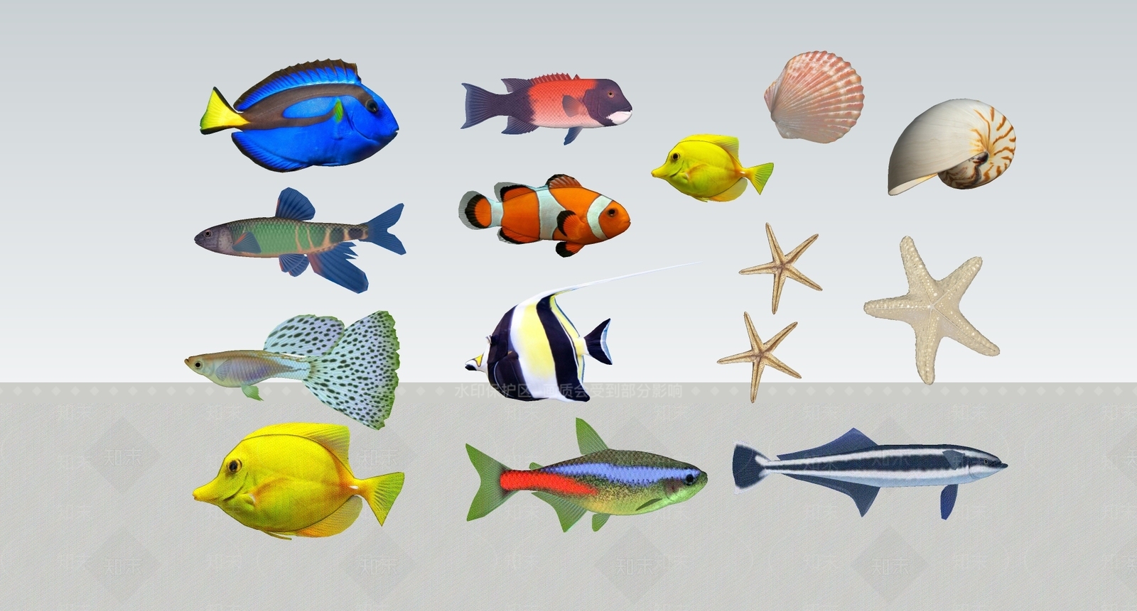2D水生类动物3D模型下载【ID:1165011351】