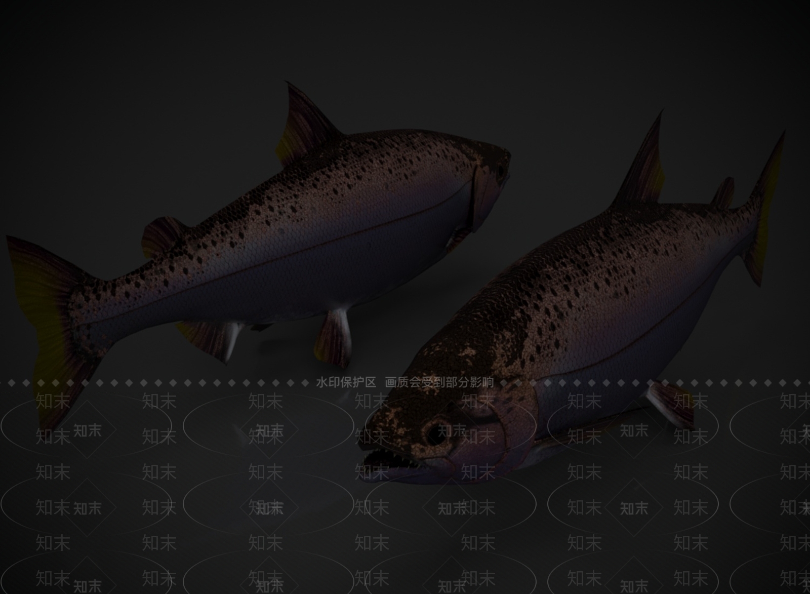 水生类动物3D模型下载【ID:1165021803】