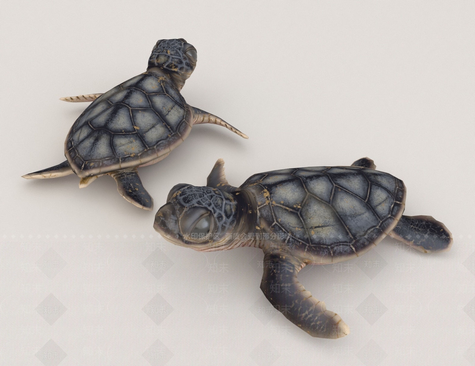 爬行类动物3D模型下载【ID:1165024219】