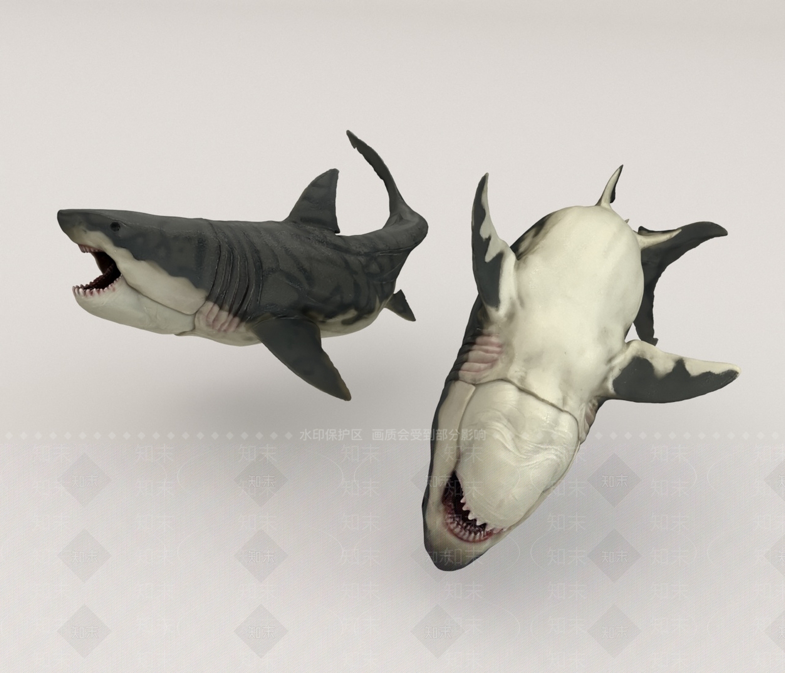 水生类动物3D模型下载【ID:1165033933】