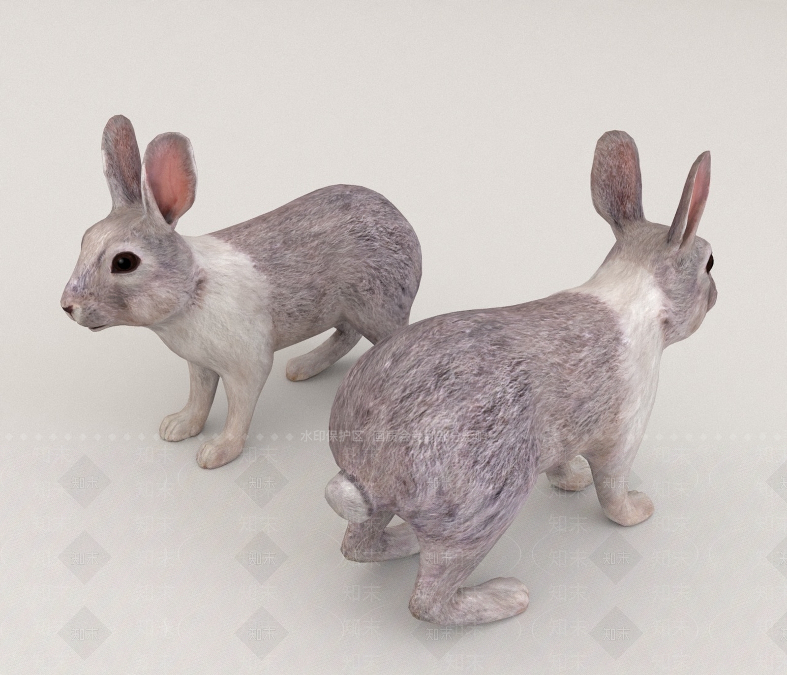 家禽类动物3D模型下载【ID:1165036463】