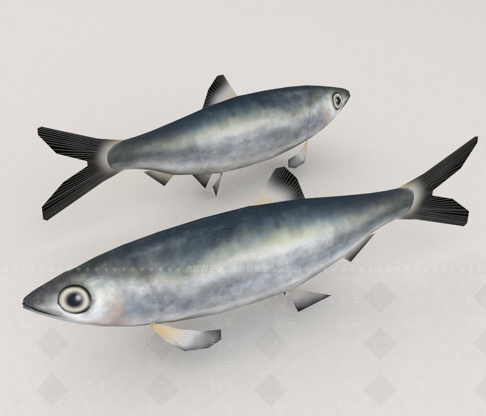 水生类动物3D模型下载【ID:1165036588】