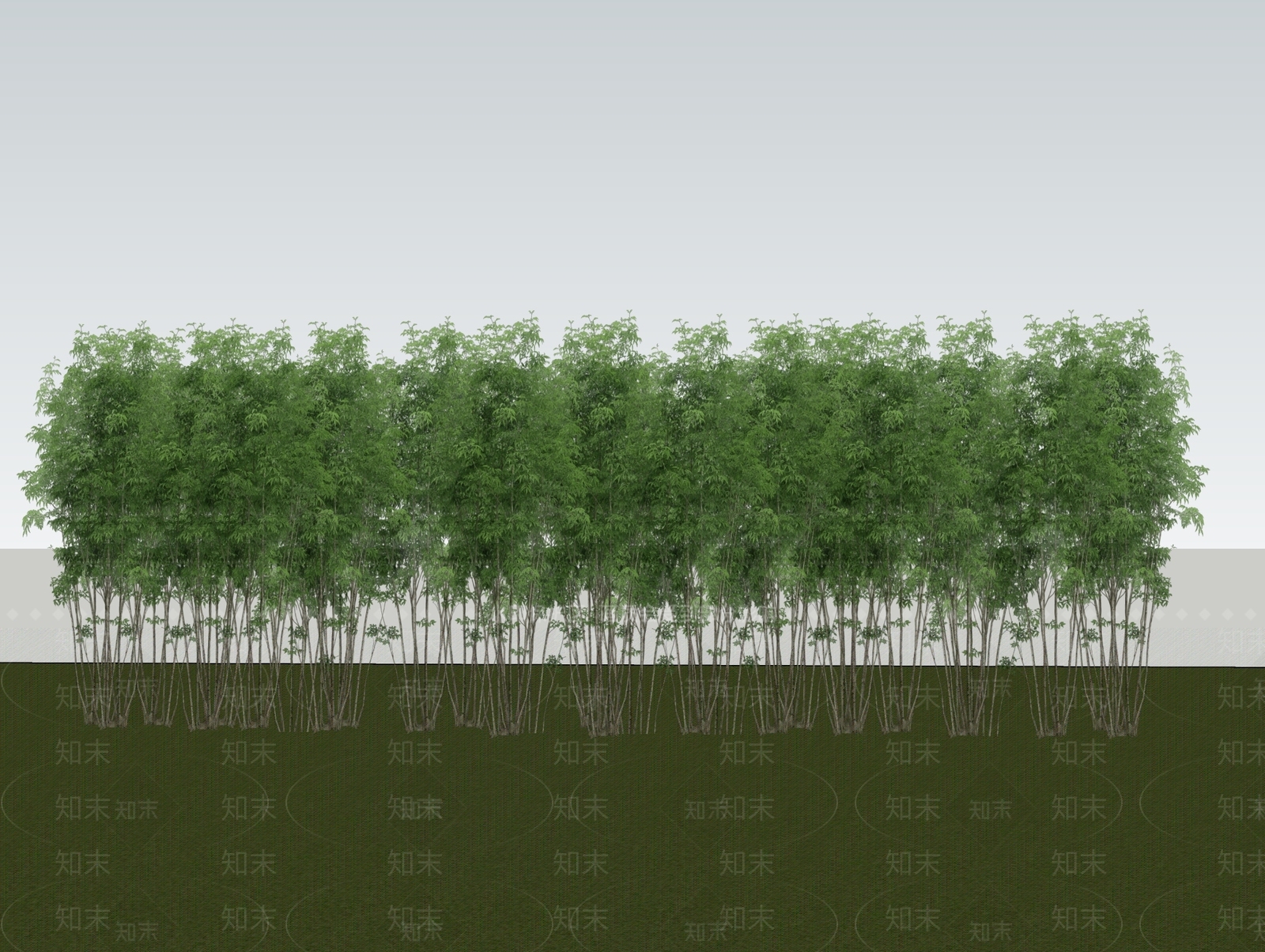 竹子SU模型下载【ID:1165039100】