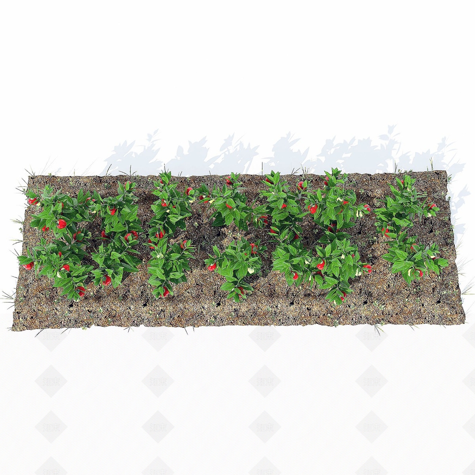 其他绿植3D模型下载【ID:1165052478】