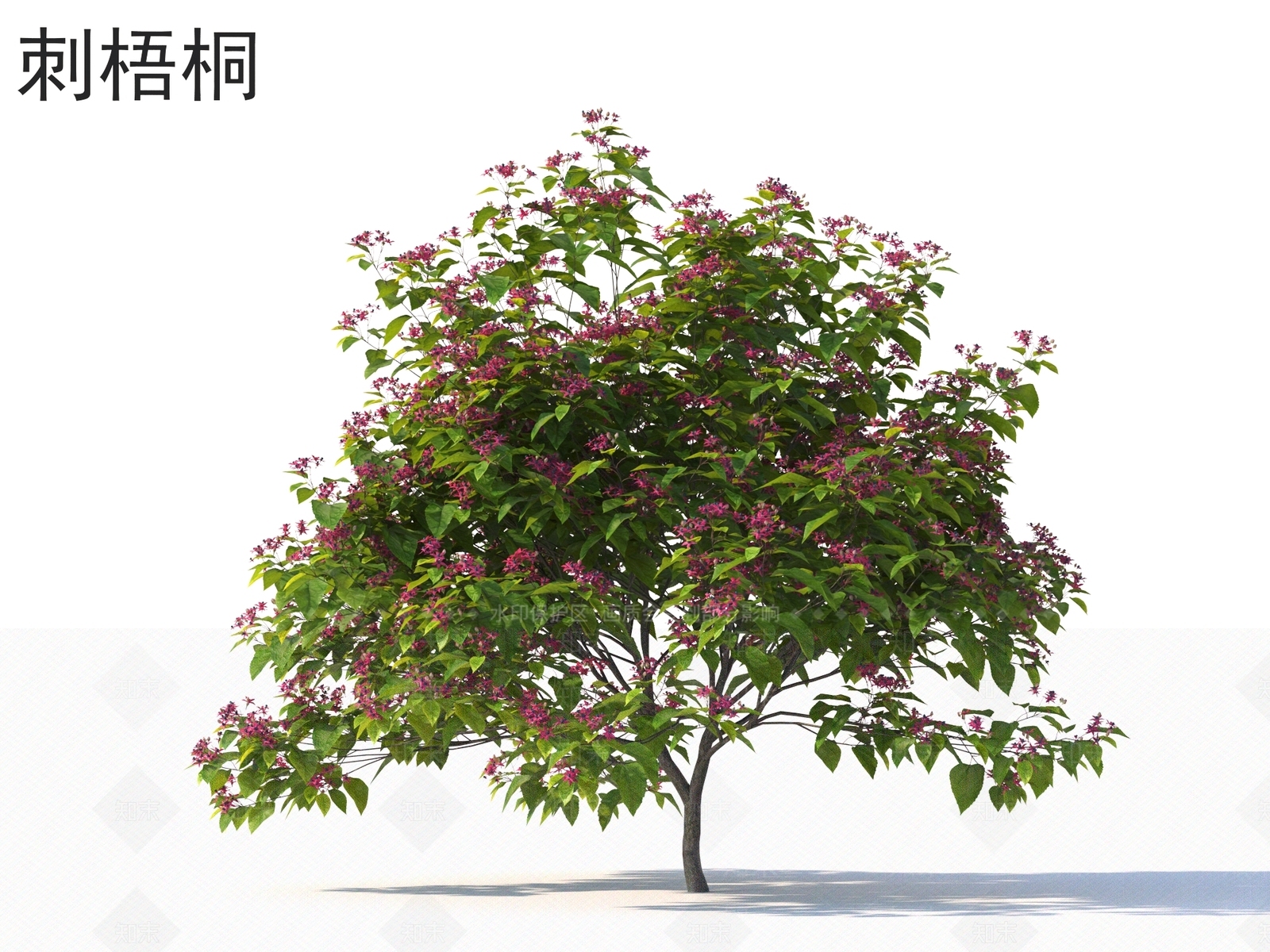 灌木3D模型下载【ID:1165056927】