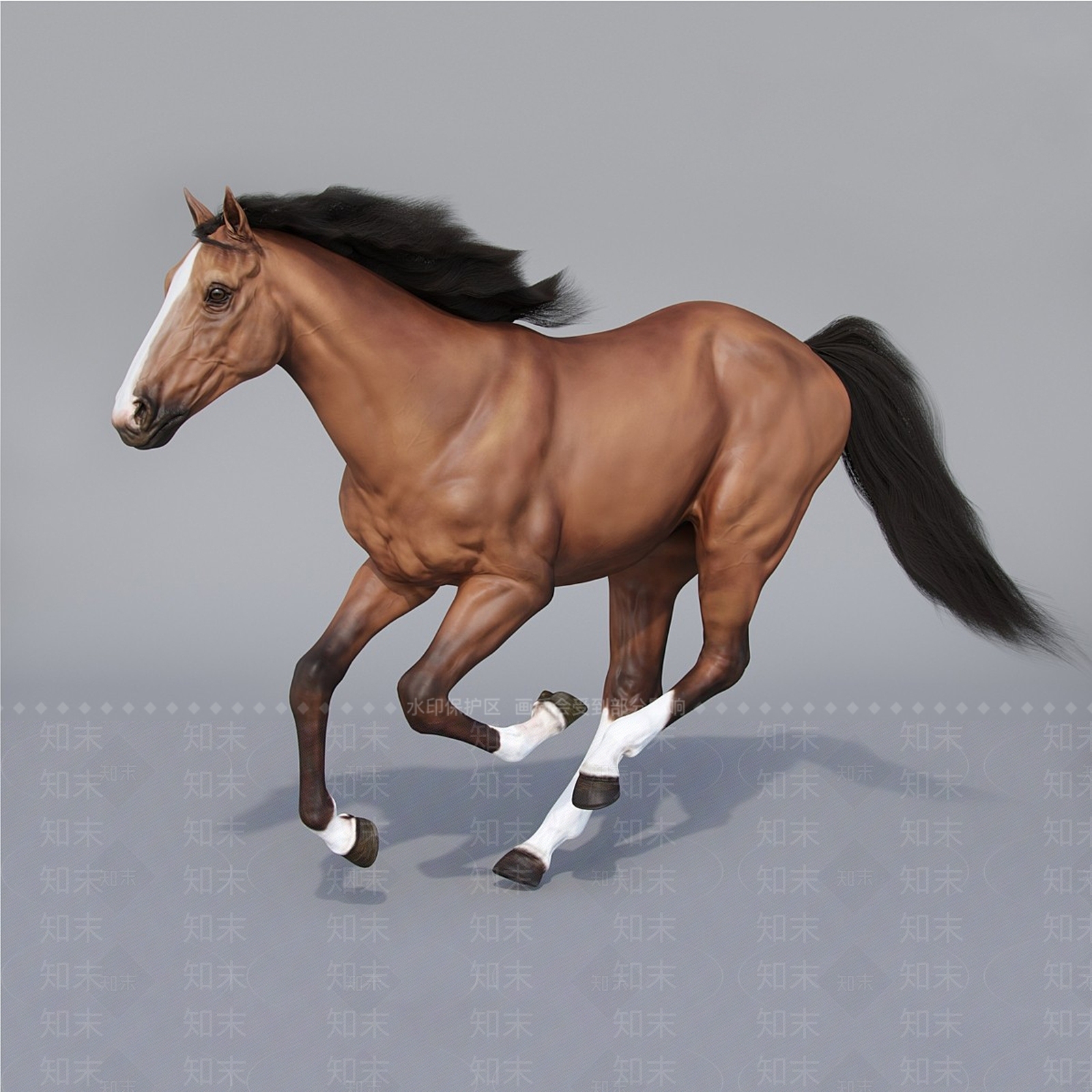 其他动物3D模型下载【ID:1165059493】