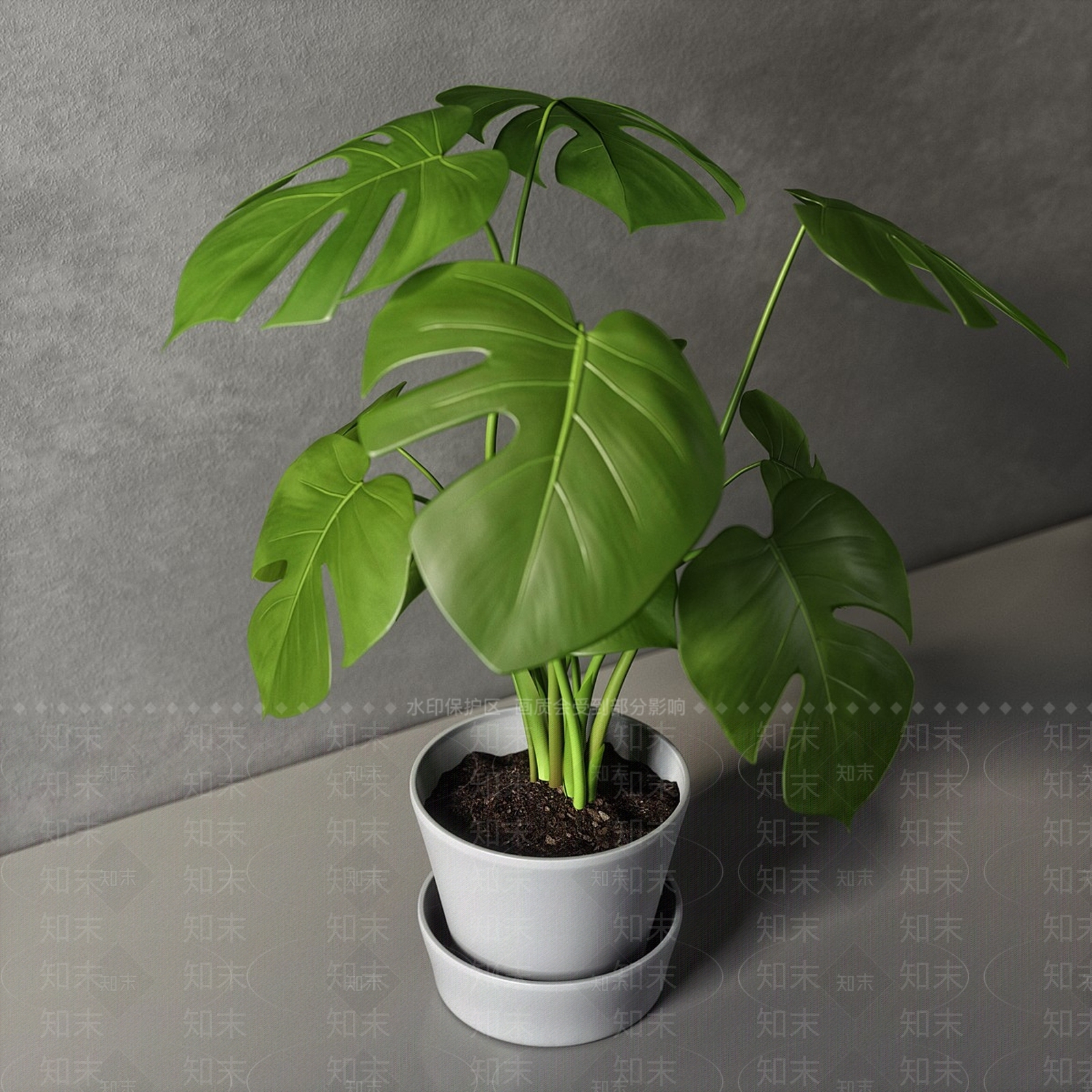 盆栽3D模型下载【ID:1165059905】