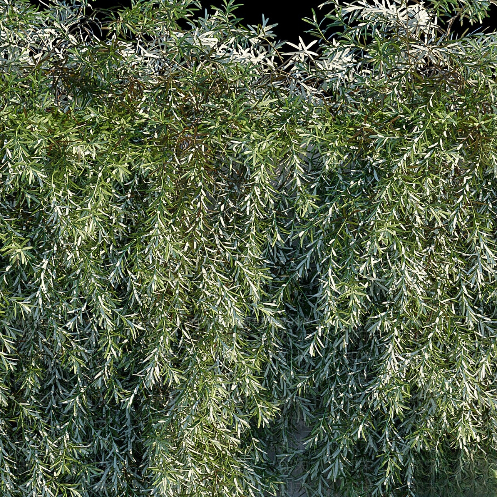 绿植墙3D模型下载【ID:1165061593】