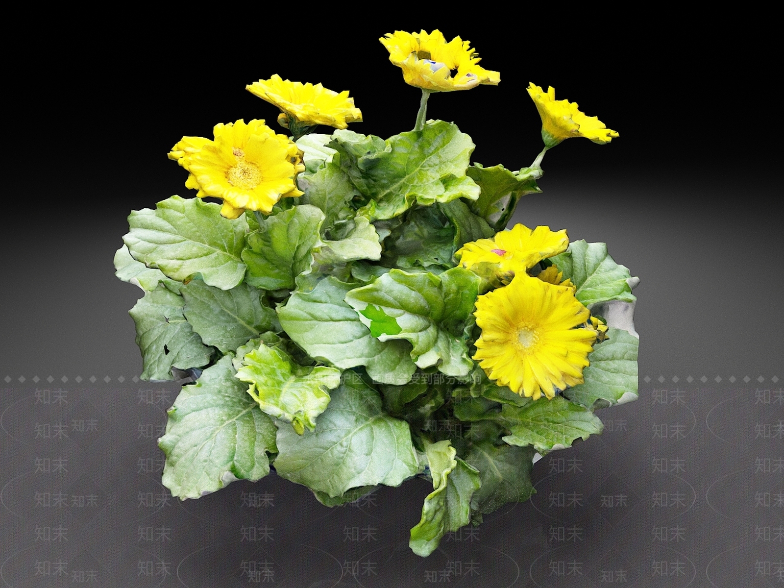 花草组合3D模型下载【ID:1165069029】