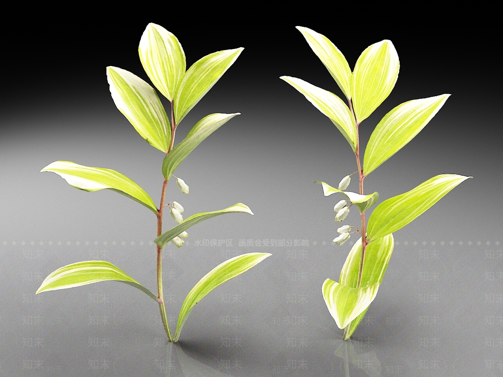 花草组合3D模型下载【ID:1165069826】
