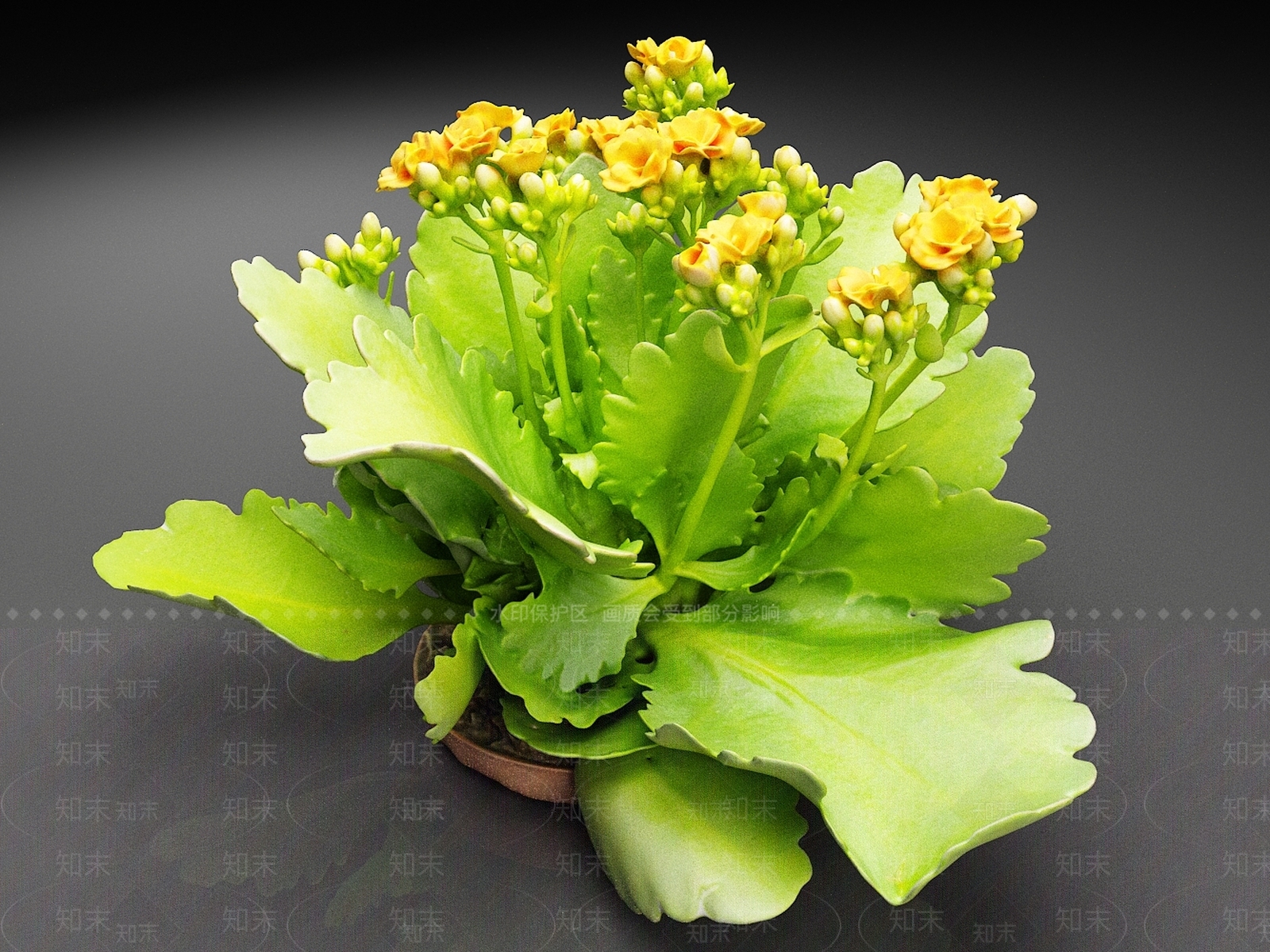 花草组合3D模型下载【ID:1165079254】