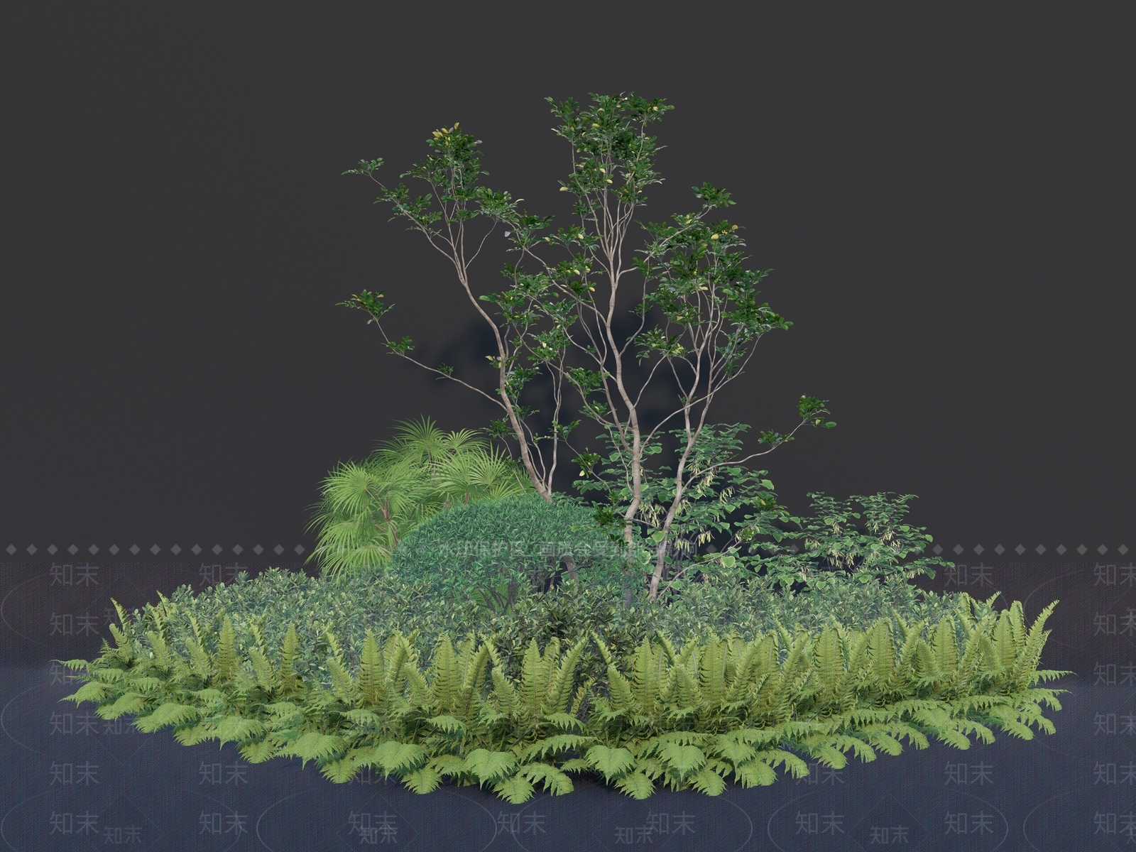 植物组合SU模型下载【ID:1165084580】