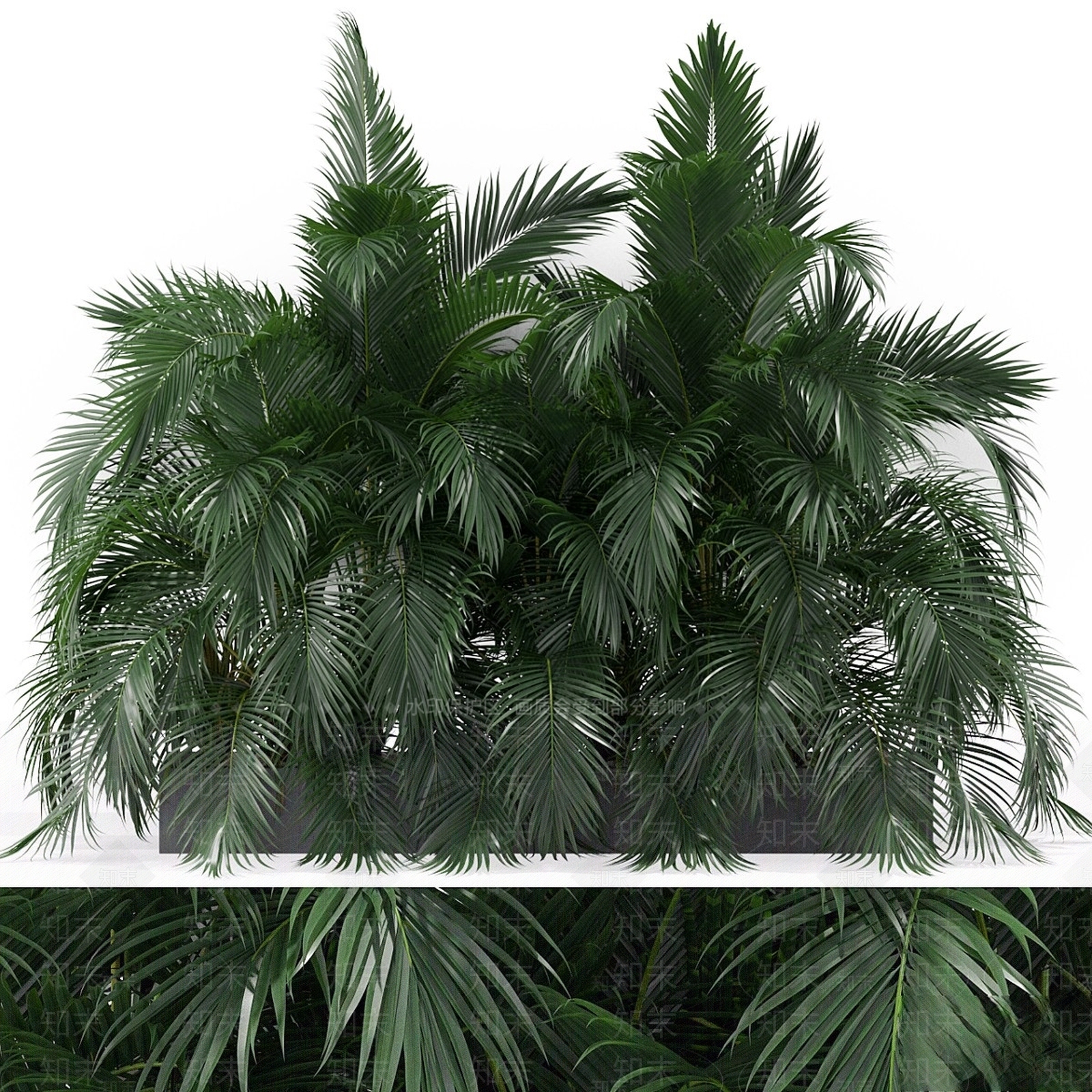 盆栽3D模型下载【ID:1165086750】