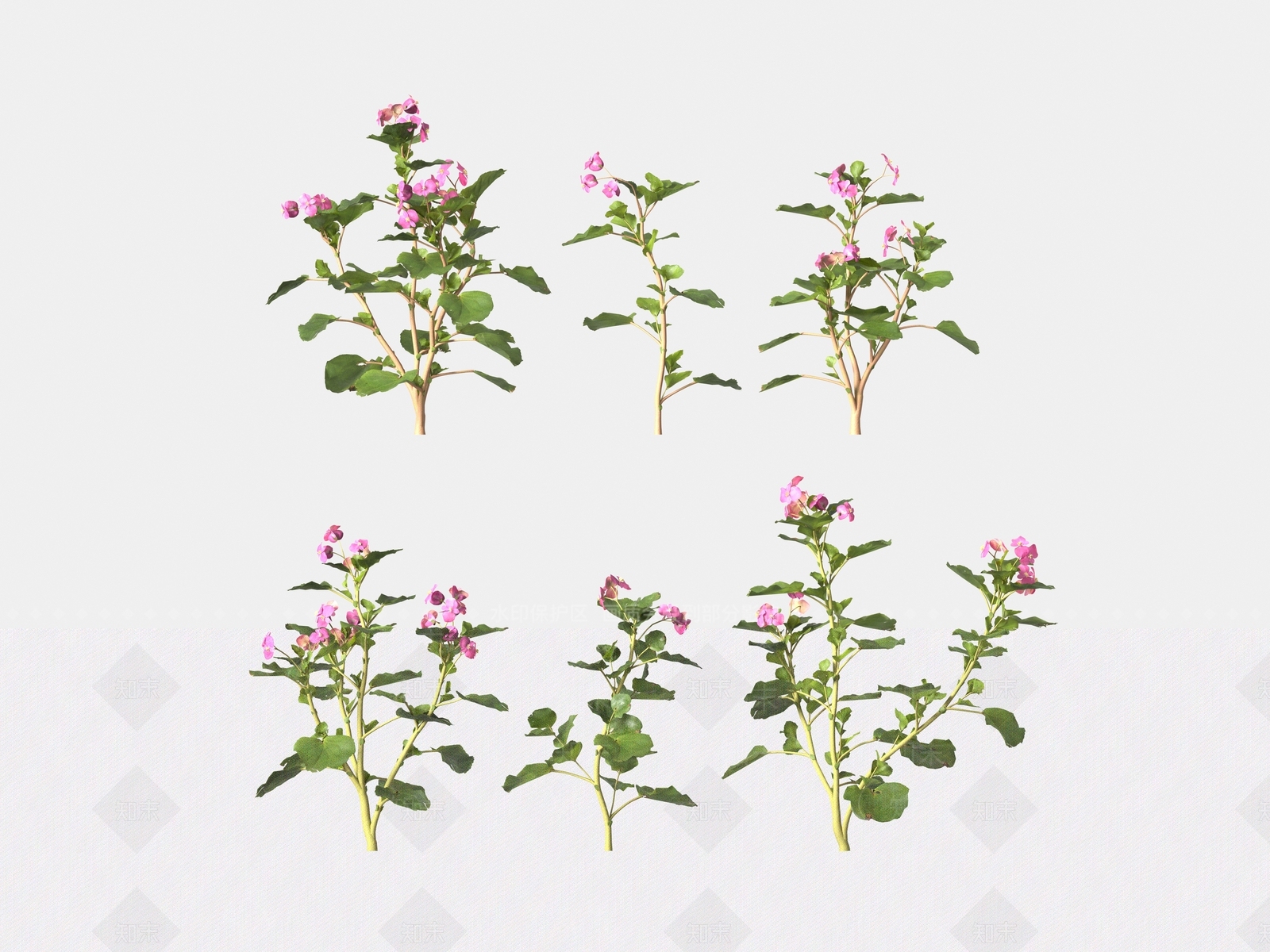 花草组合3D模型下载【ID:1165124808】