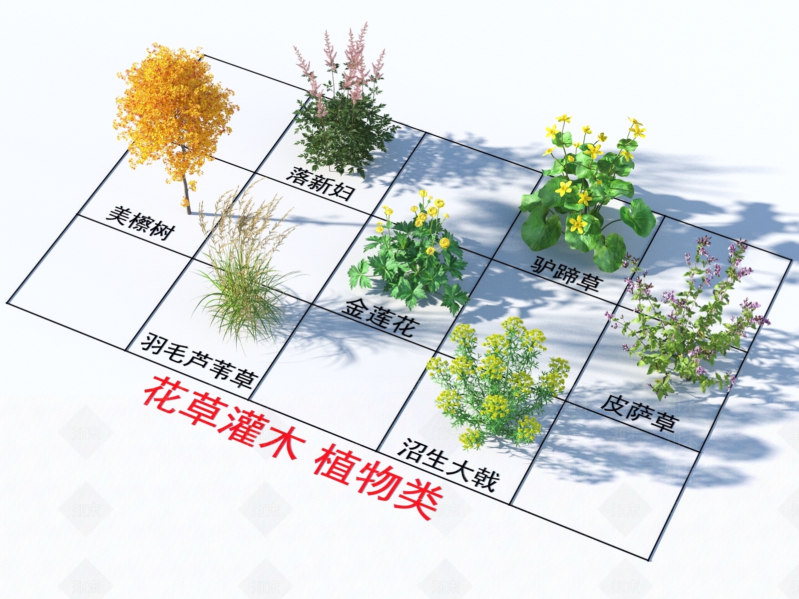花草组合3D模型下载【ID:1165163617】