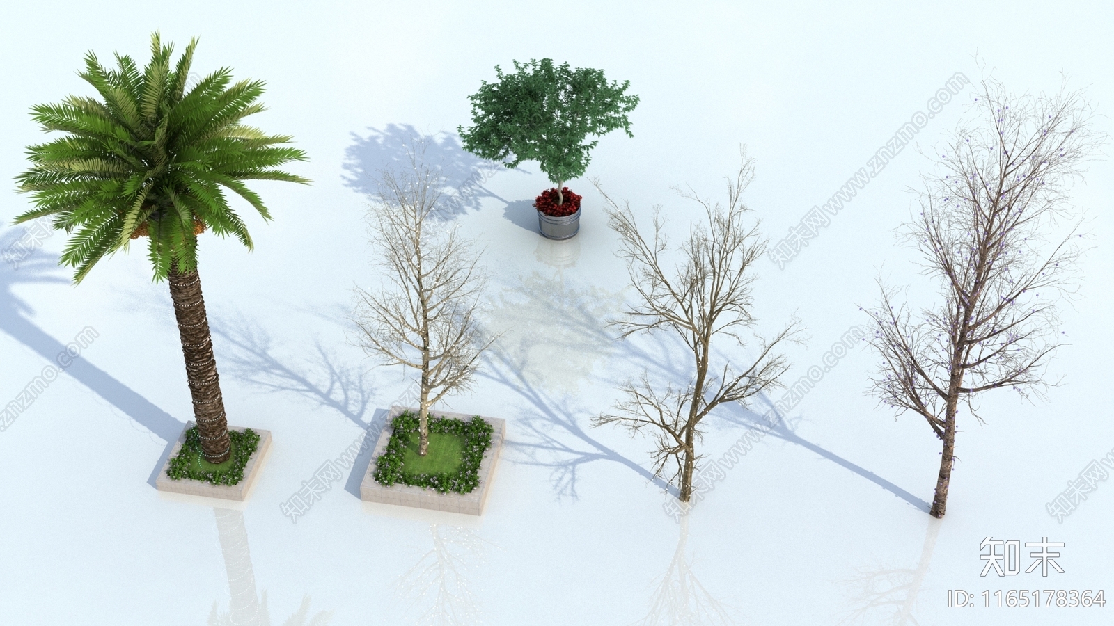 其他树木3D模型下载【ID:1165178364】