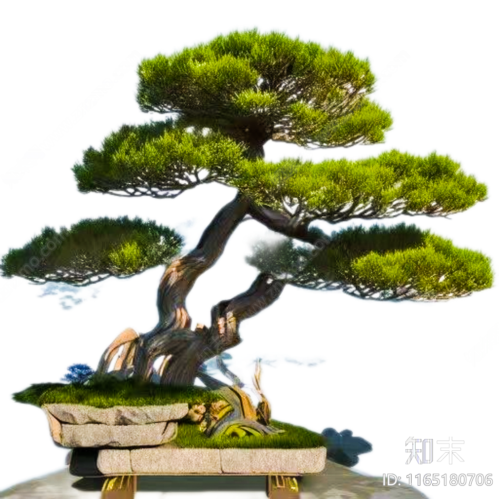 新中式中式树贴图下载【ID:1165180706】
