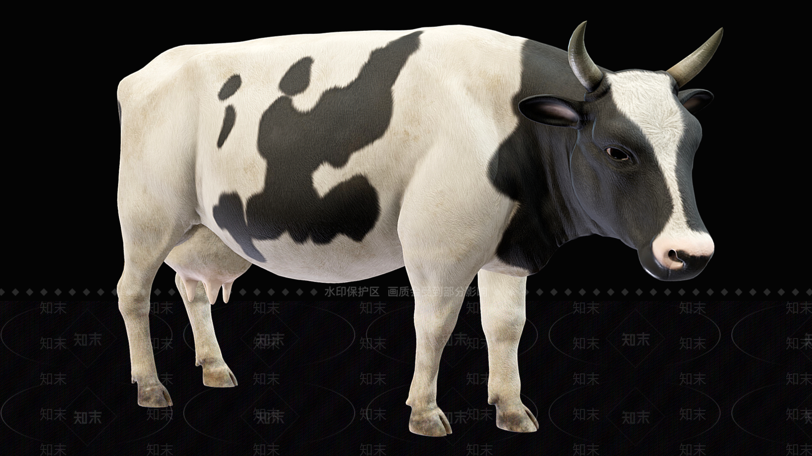 家禽类动物3D模型下载【ID:1165191636】