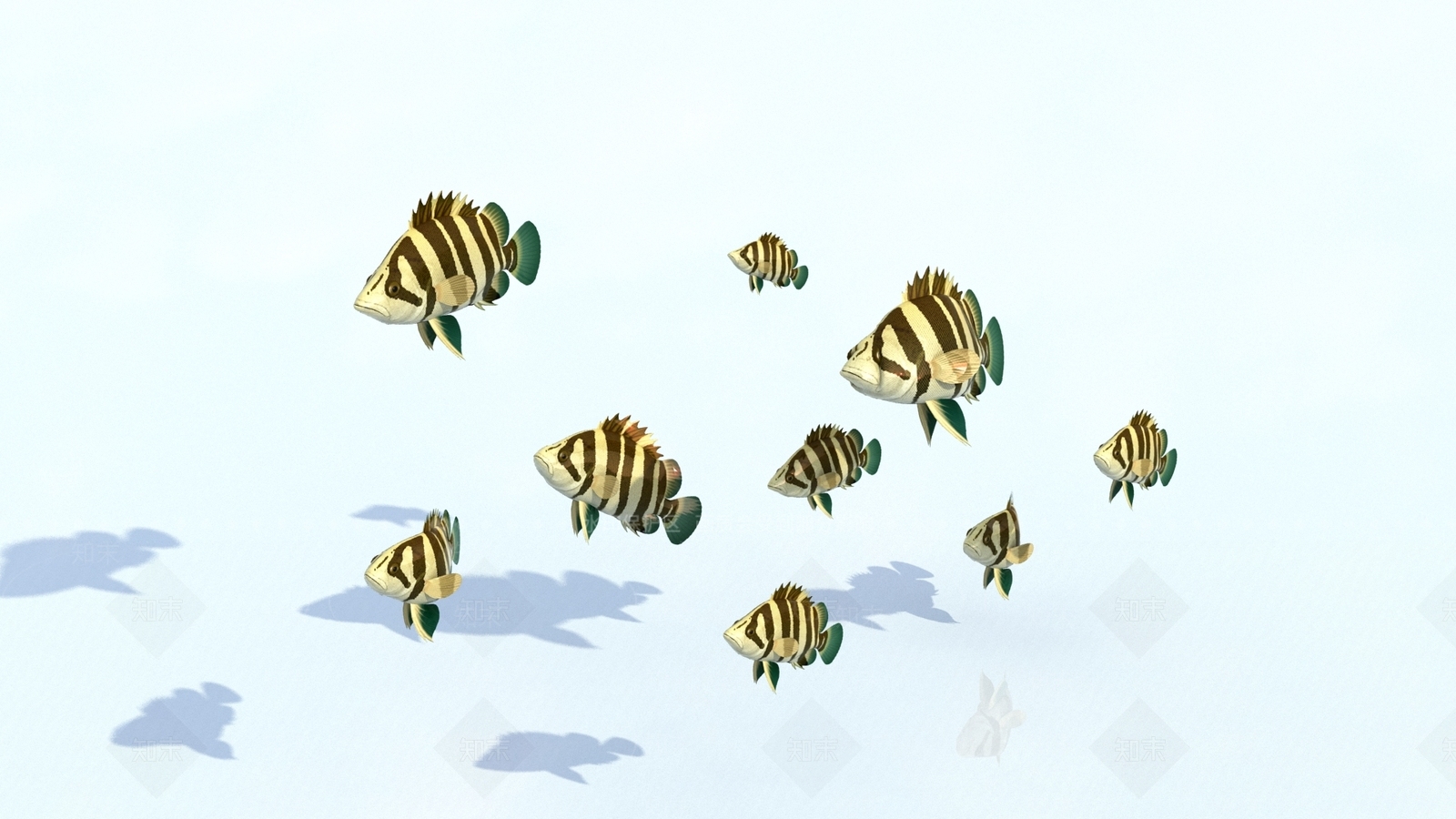 水生类动物3D模型下载【ID:1165195931】