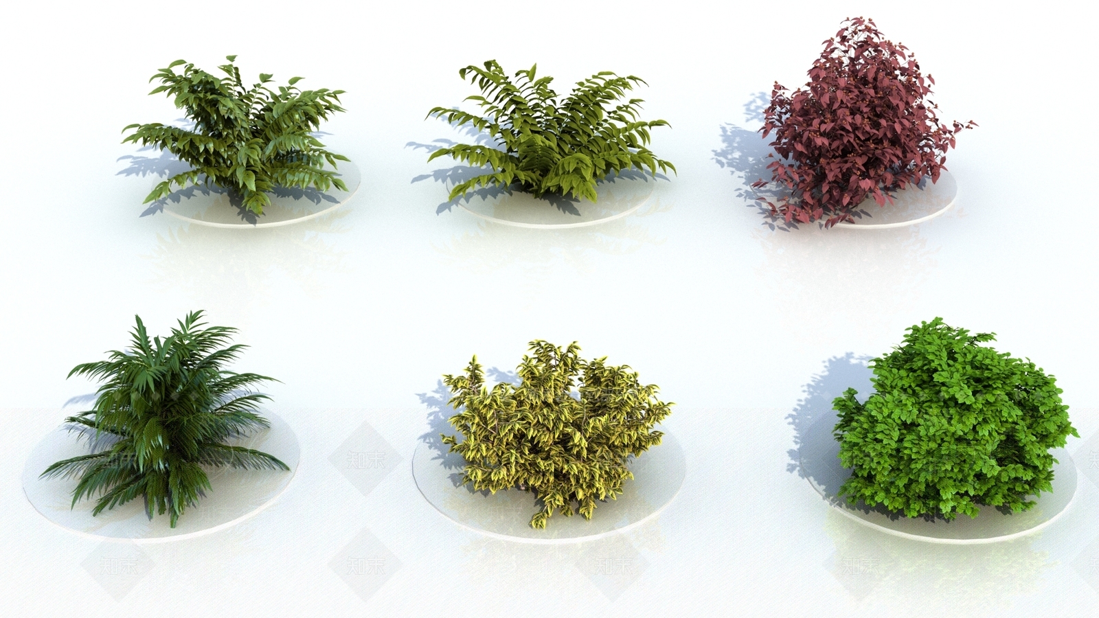 灌木3D模型下载【ID:1165220624】