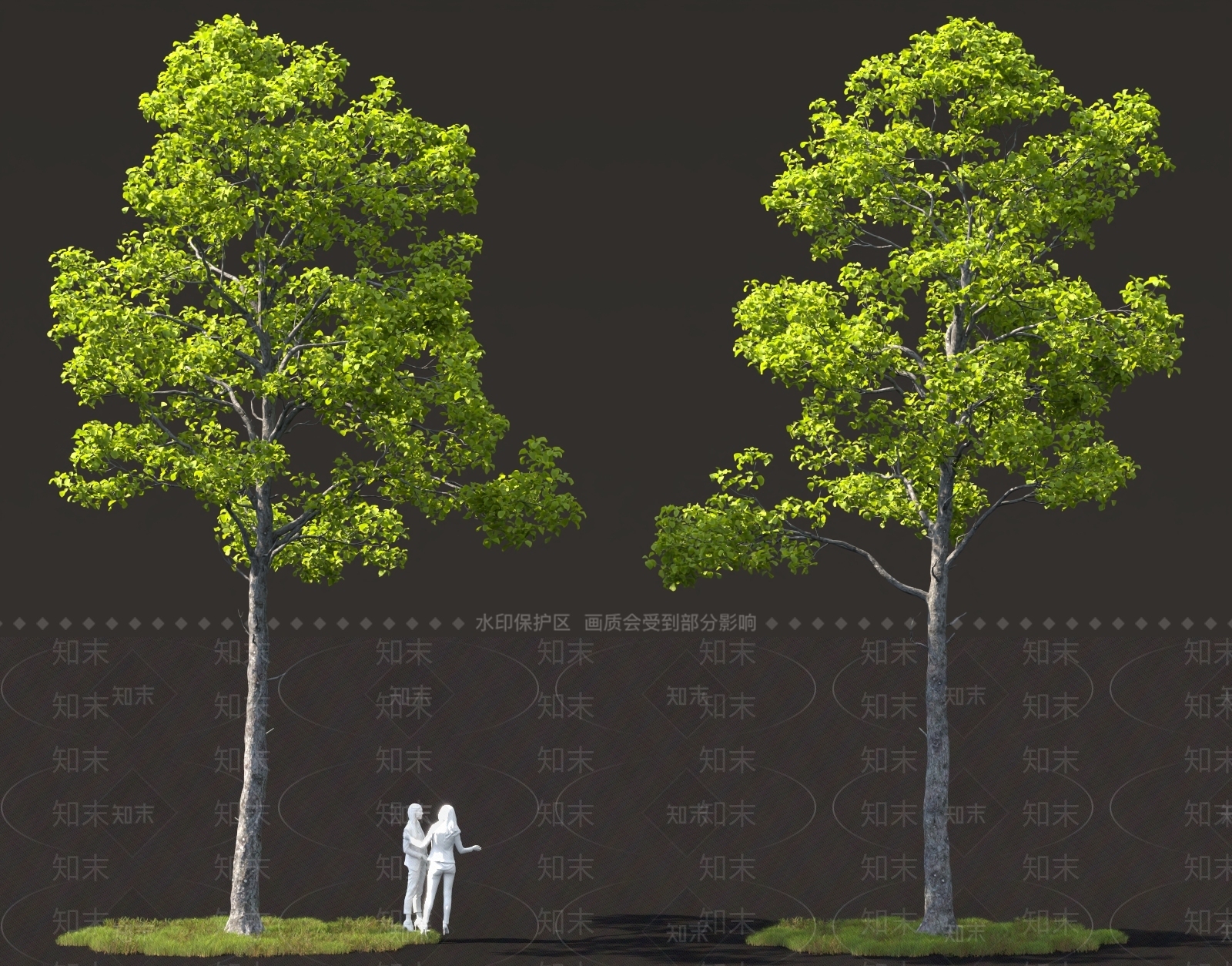 景观树3D模型下载【ID:1165238294】