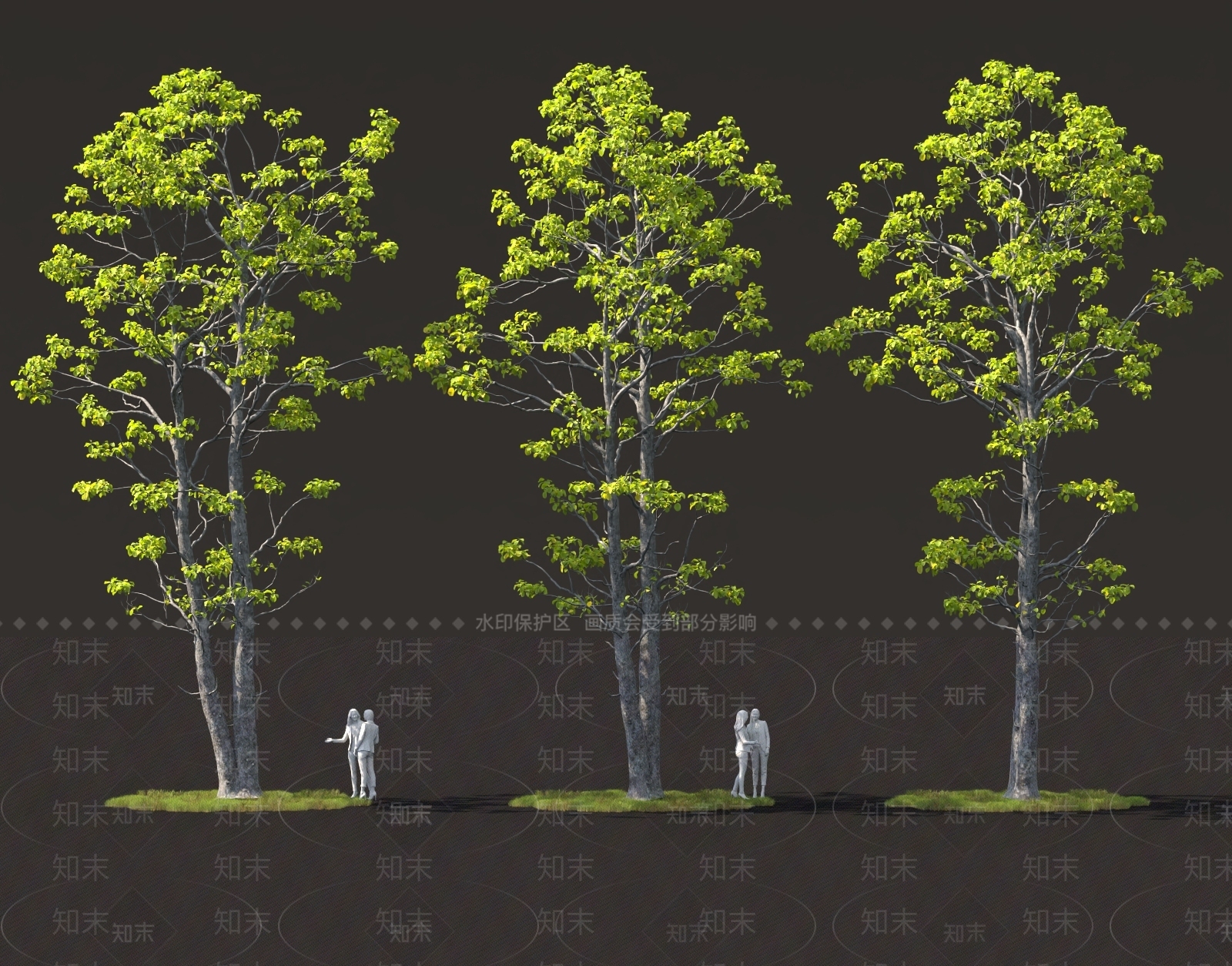 景观树3D模型下载【ID:1165238301】