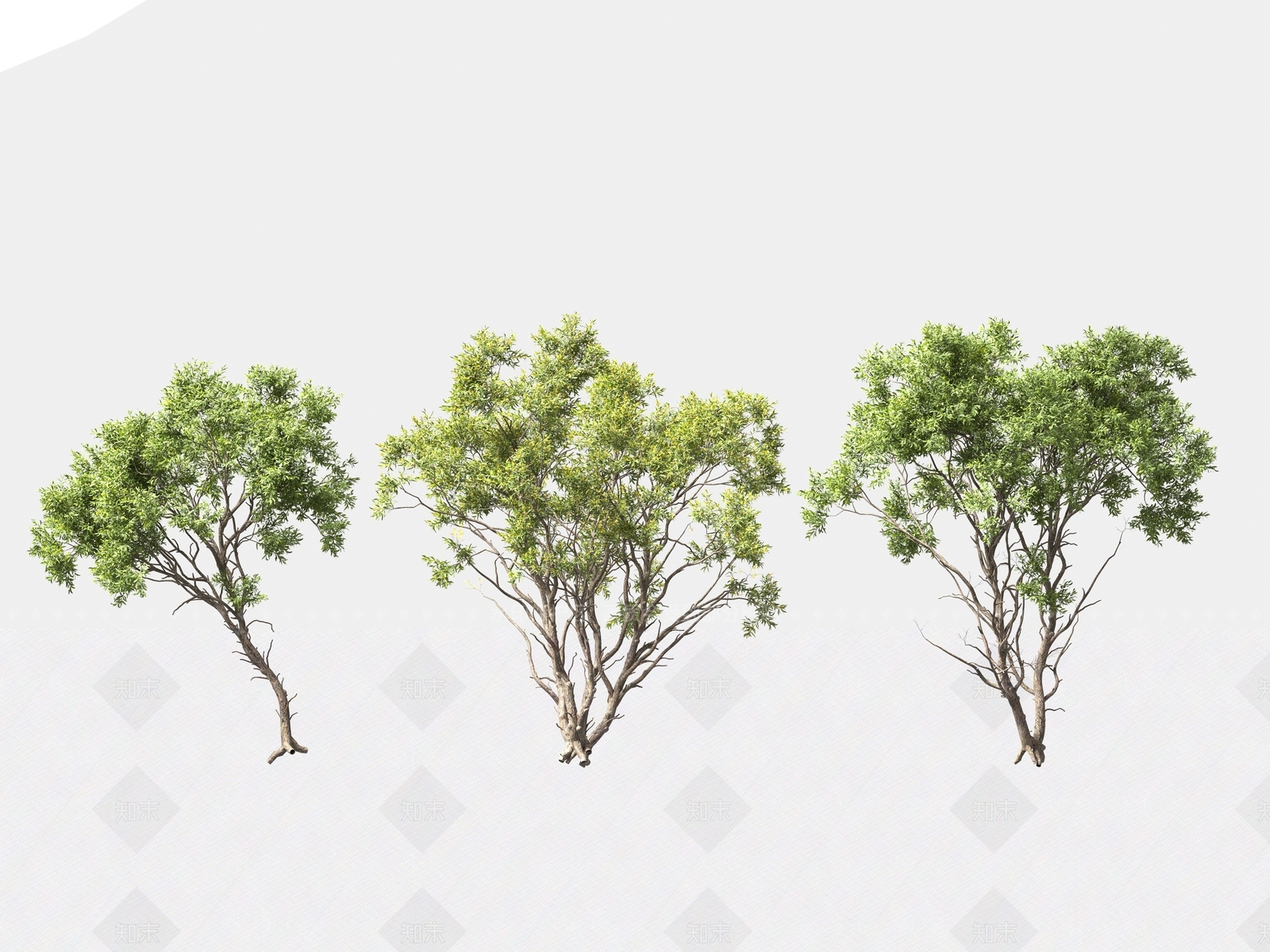 景观树3D模型下载【ID:1165244608】