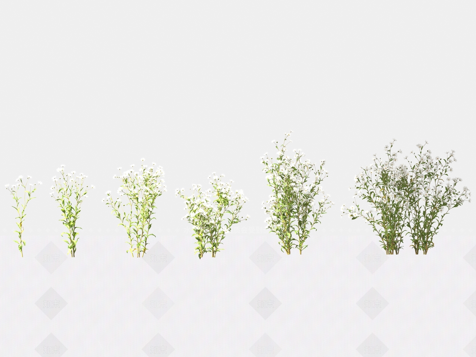 草3D模型下载【ID:1165254955】