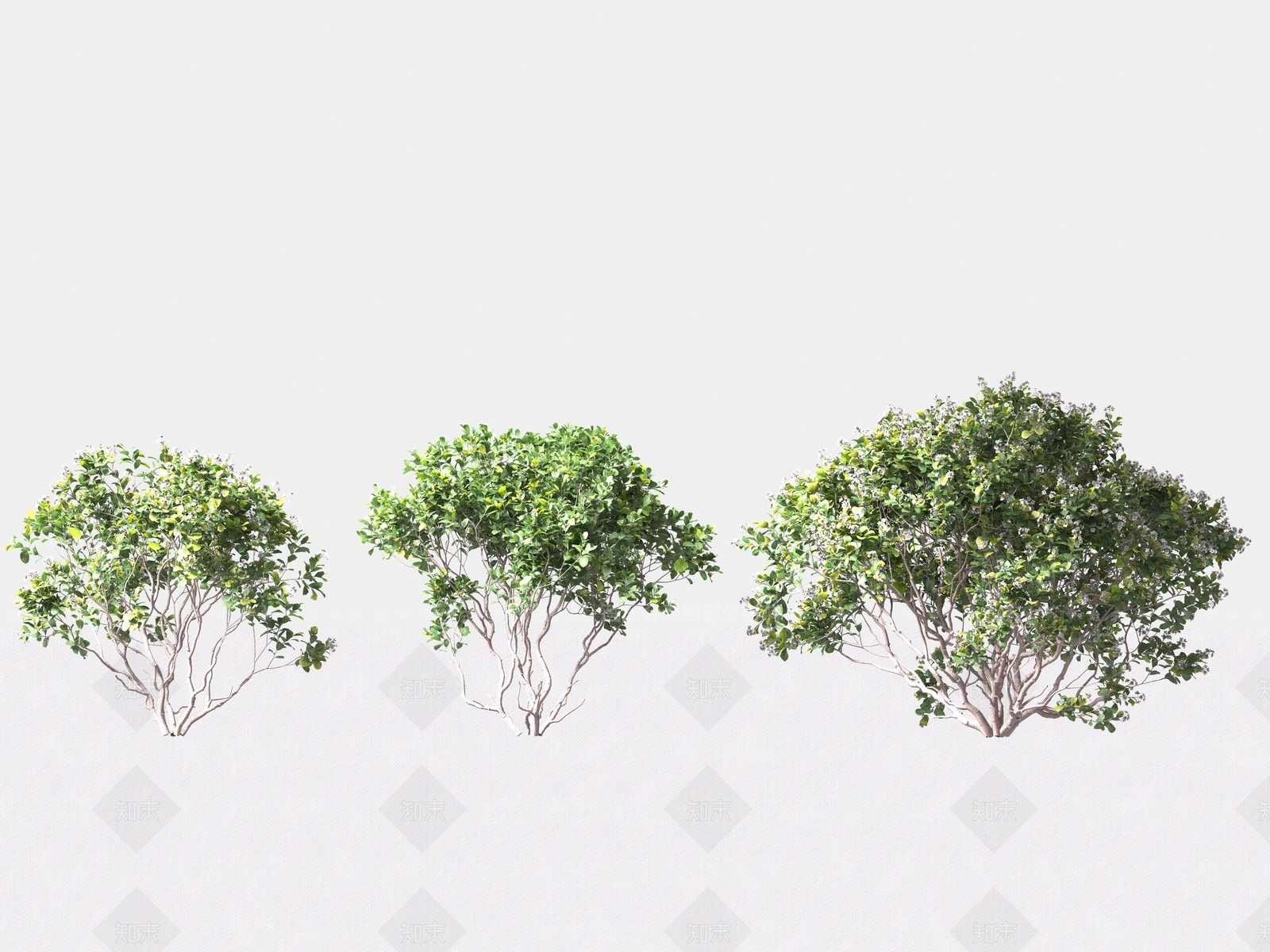 灌木3D模型下载【ID:1165265128】
