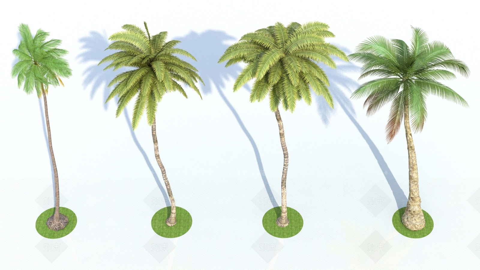 其他树木3D模型下载【ID:1165278052】