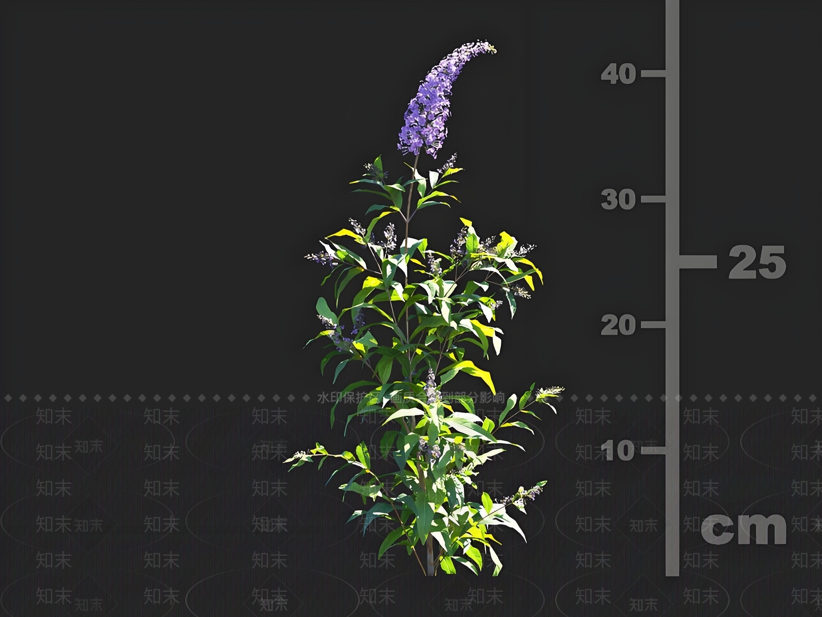 草3D模型下载【ID:1165290489】