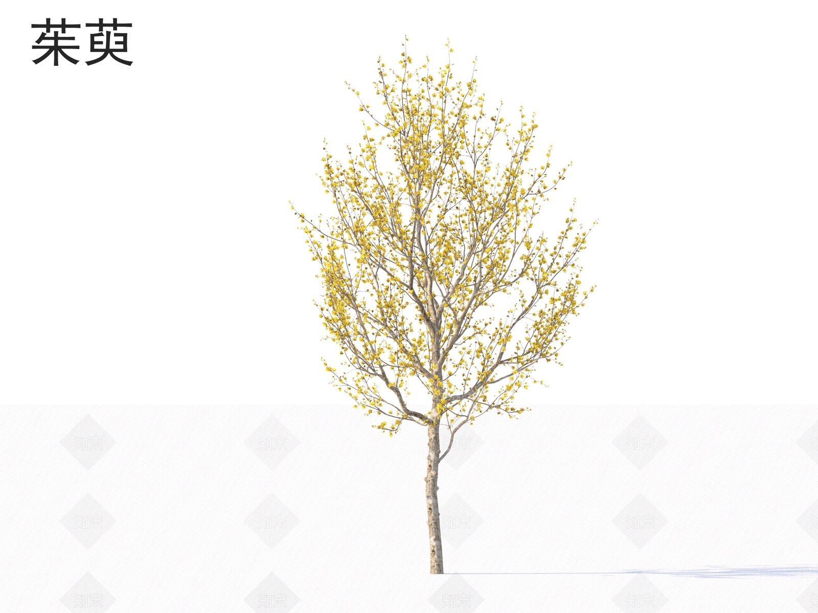 景观树3D模型下载【ID:1165313484】
