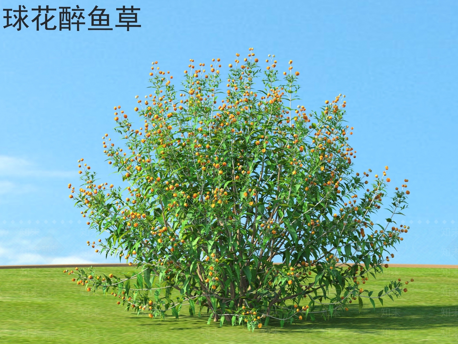 灌木3D模型下载【ID:1165313597】