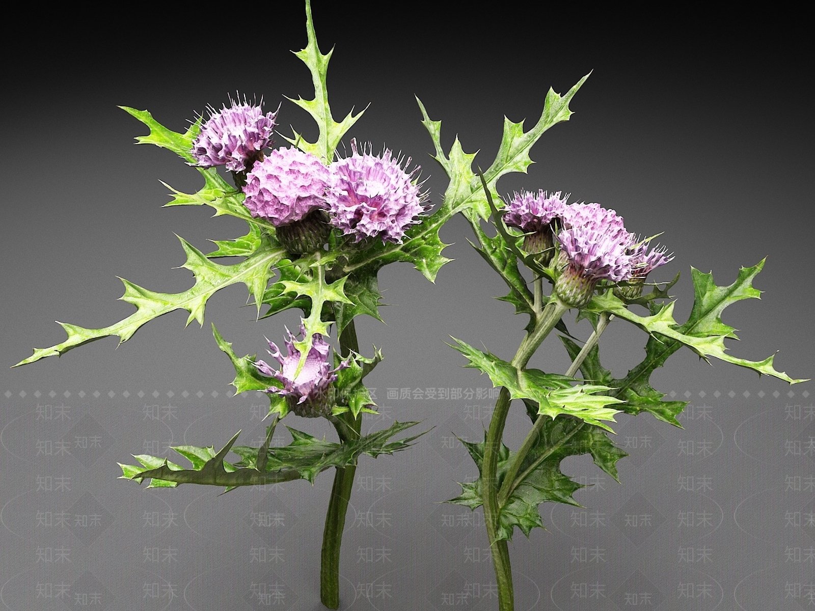 花草组合3D模型下载【ID:1165354430】