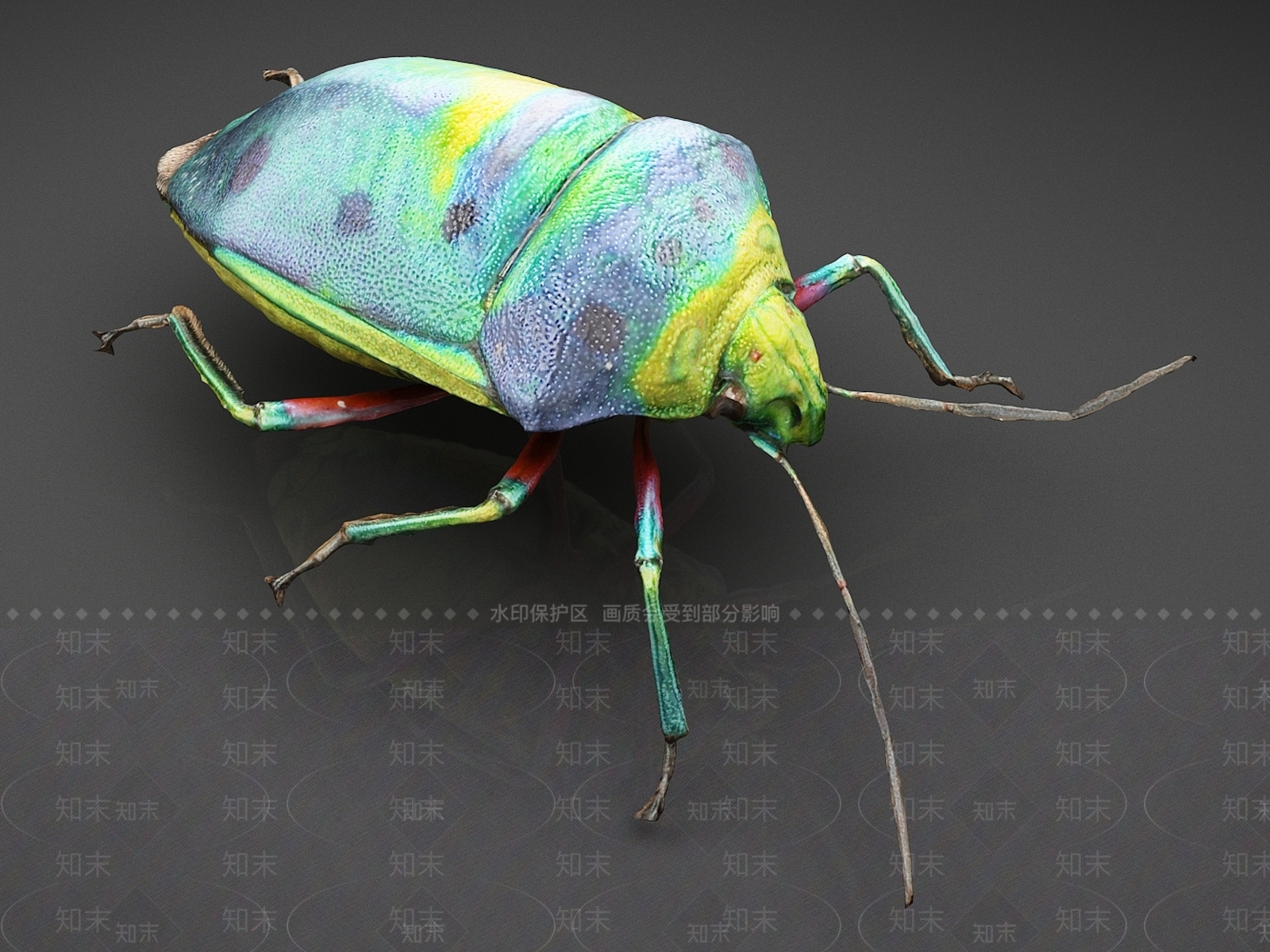 爬行类动物3D模型下载【ID:1165355375】