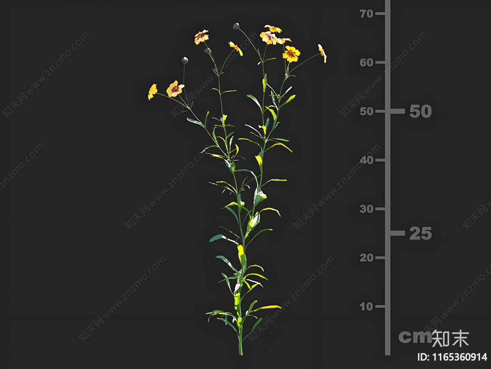 草3D模型下载【ID:1165360914】