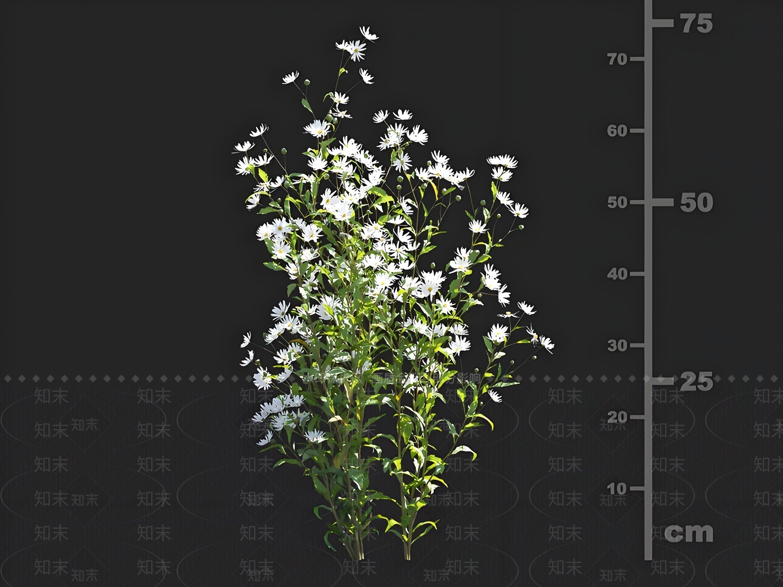 花草组合3D模型下载【ID:1165362304】