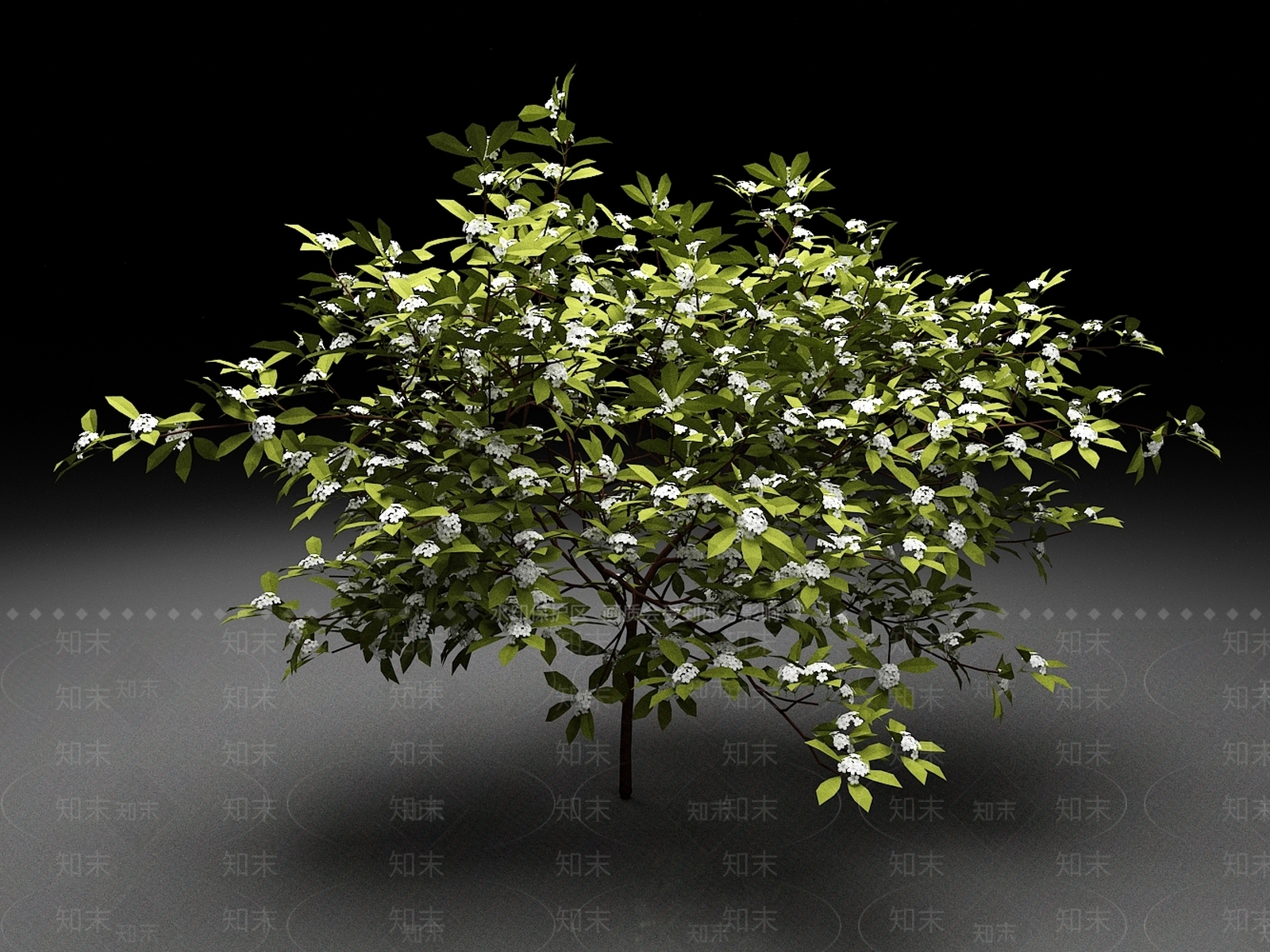 景观树3D模型下载【ID:1165498517】