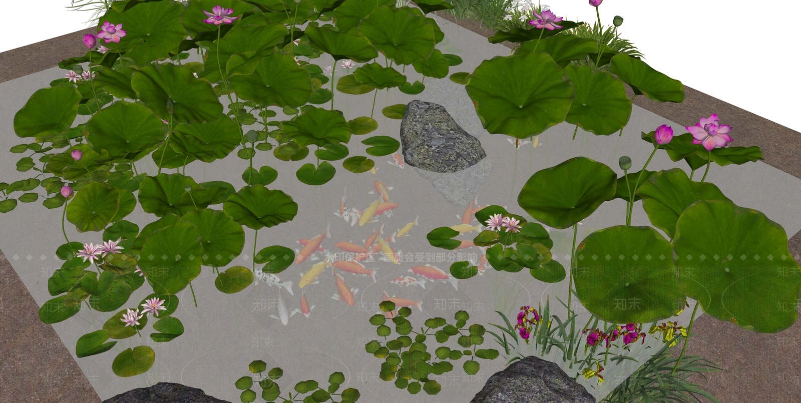 水生植物SU模型下载【ID:1165523562】