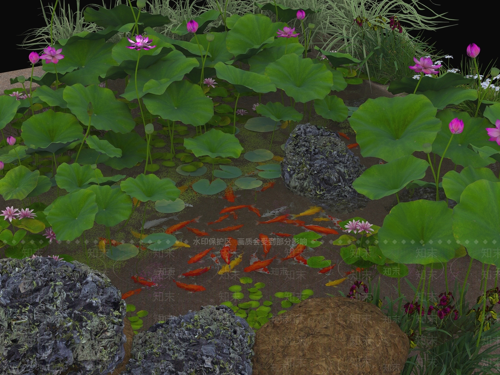 水生植物SU模型下载【ID:1165523562】
