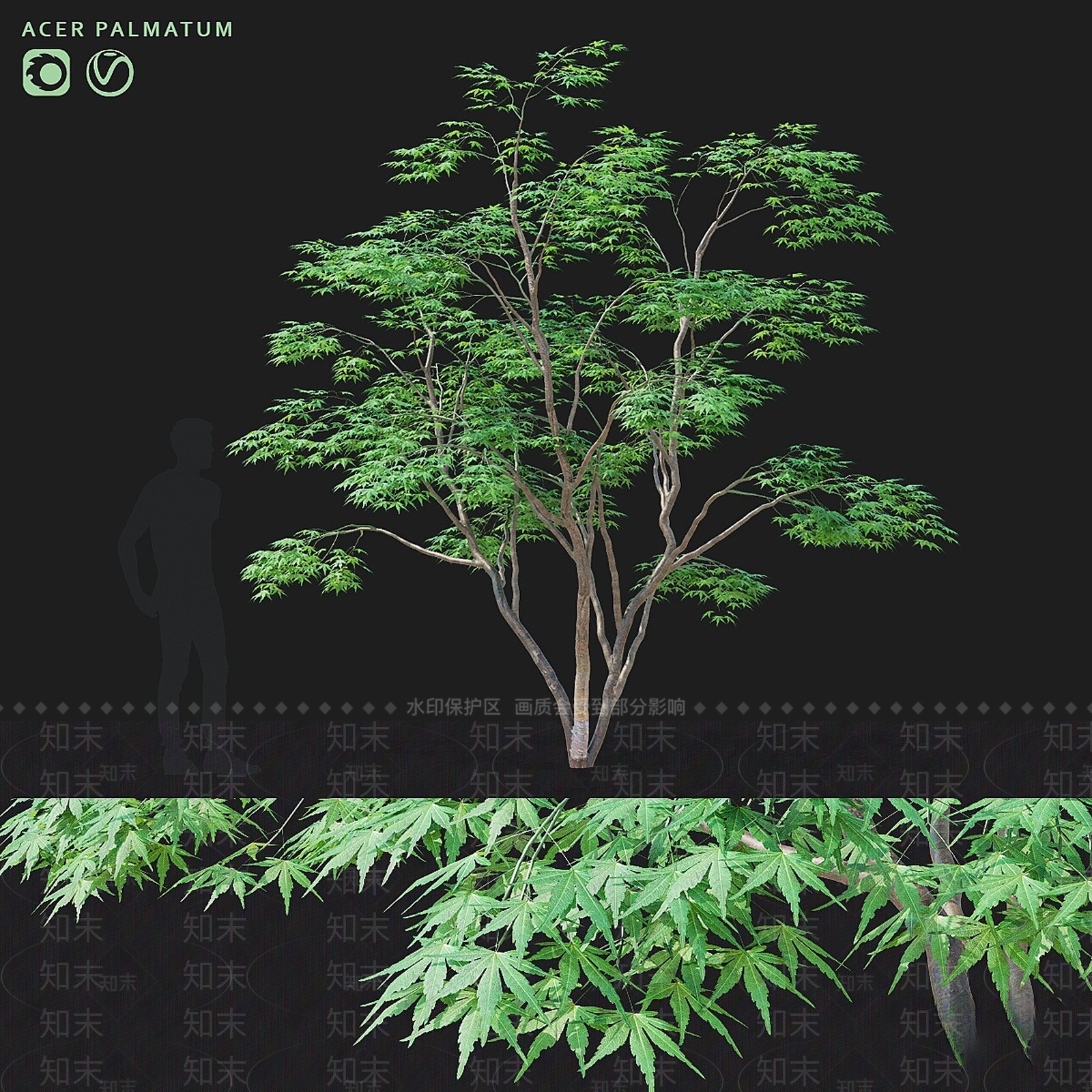 其他树木3D模型下载【ID:1165532823】