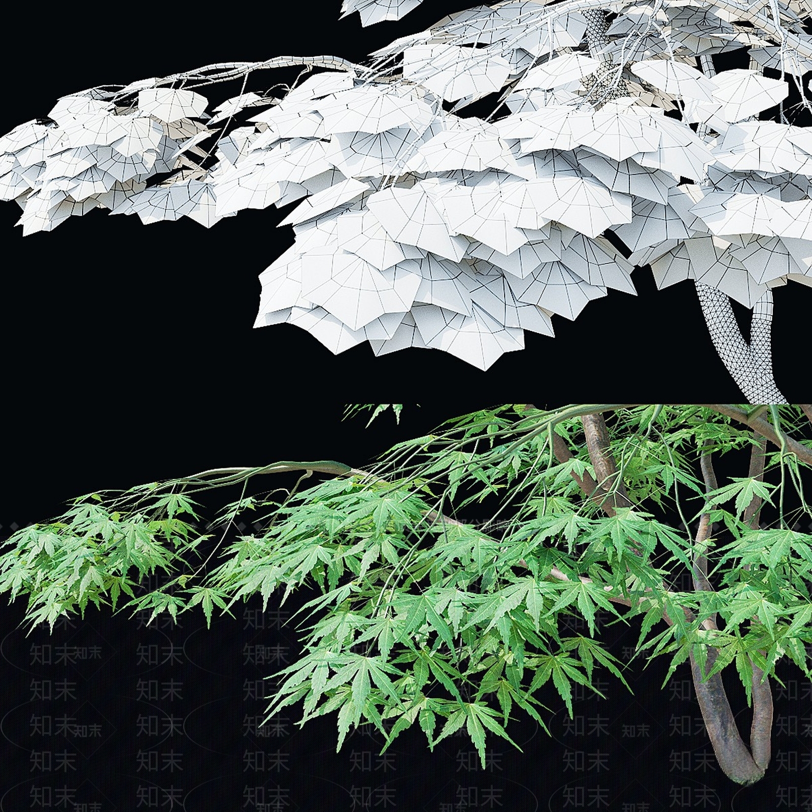 其他树木3D模型下载【ID:1165532823】