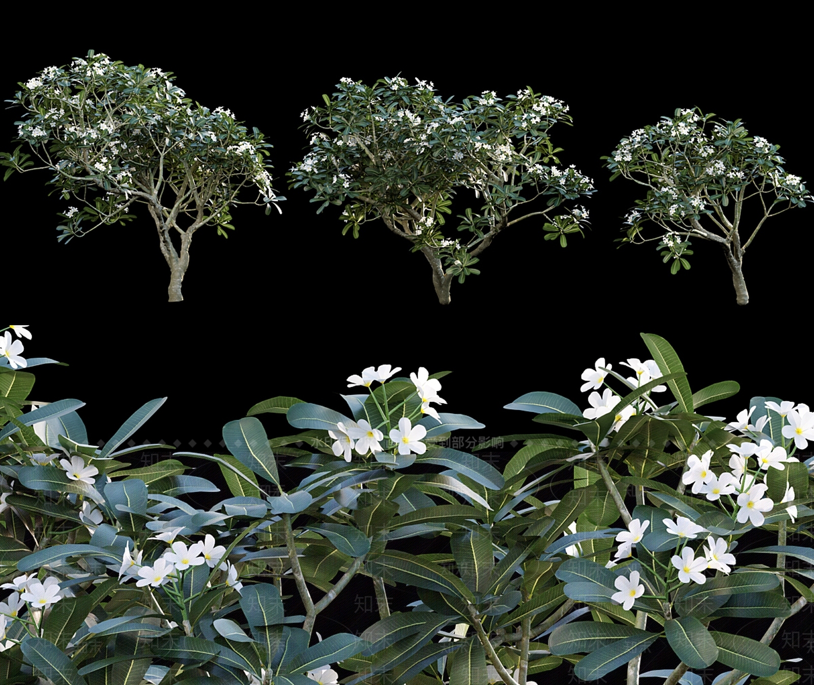 灌木3D模型下载【ID:1165539315】