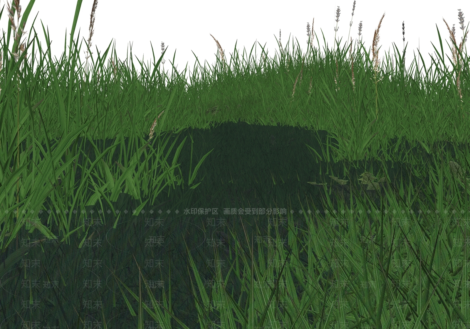 水生植物SU模型下载【ID:1165636516】