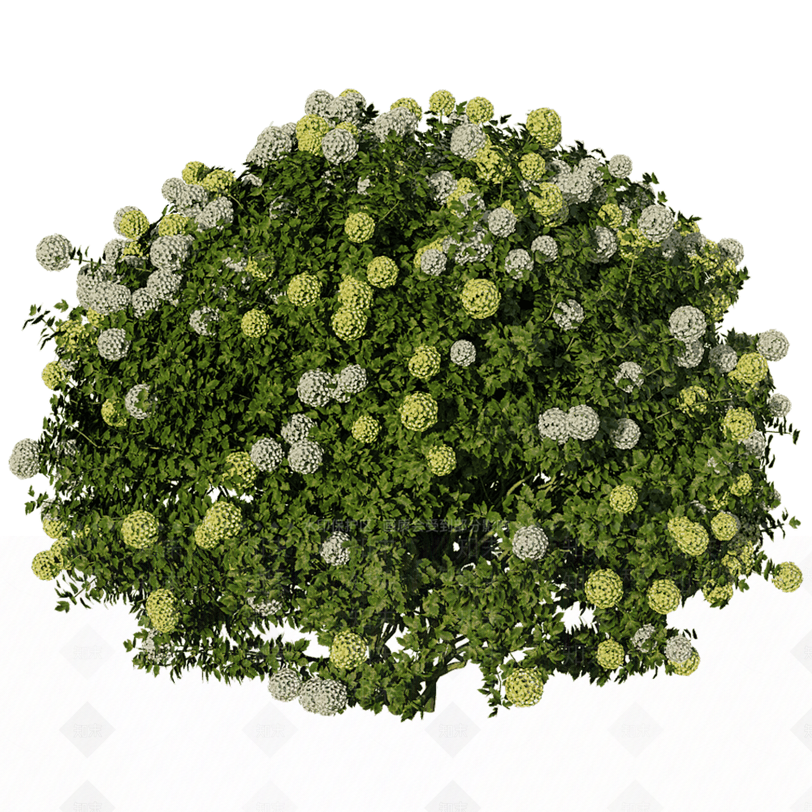 花草组合3D模型下载【ID:1165637783】