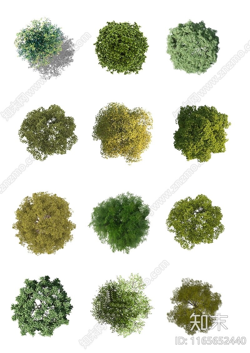 平面树设计素材精品下载_知末网