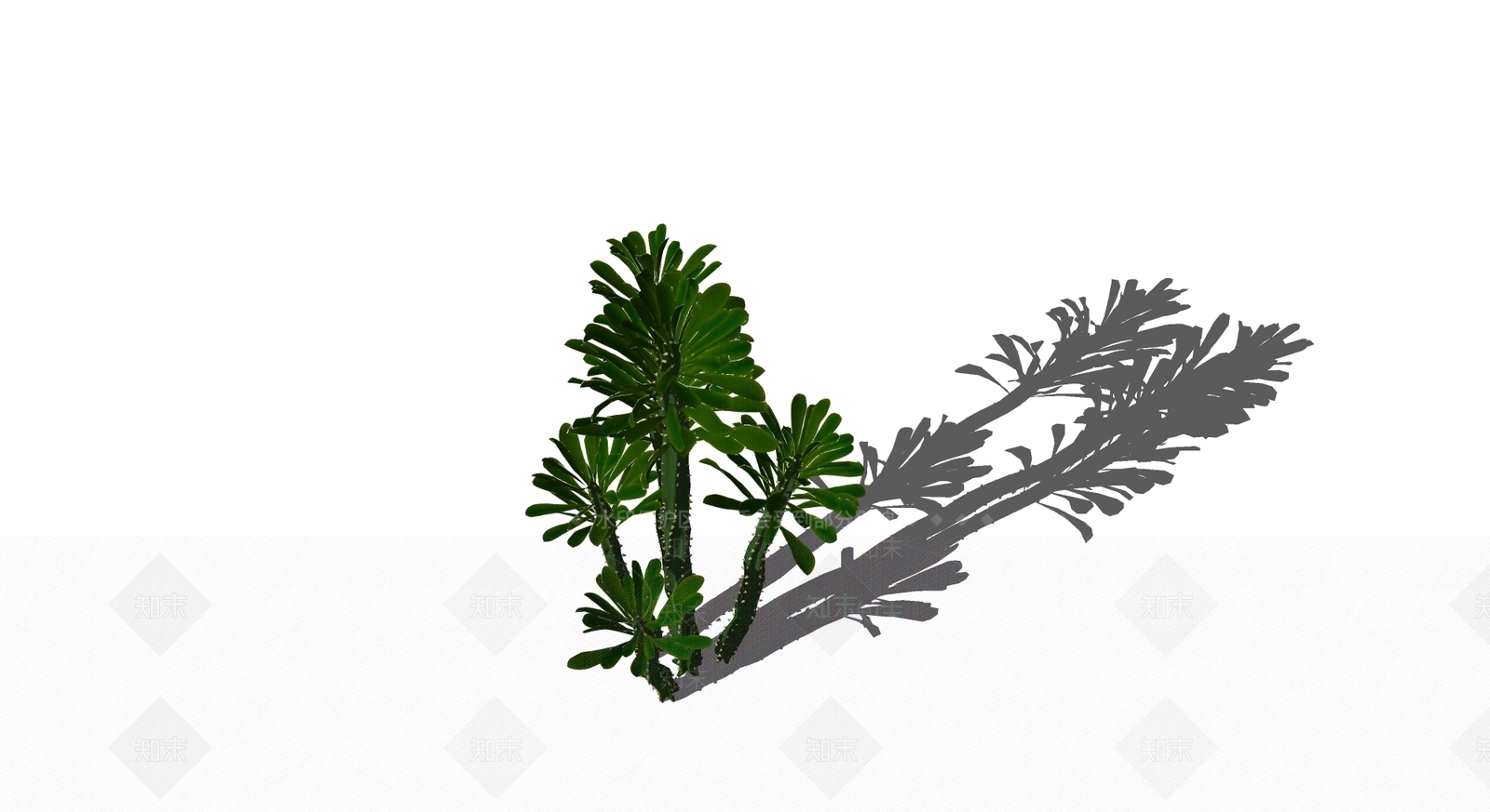 多肉植物SU模型下载【ID:1165664281】