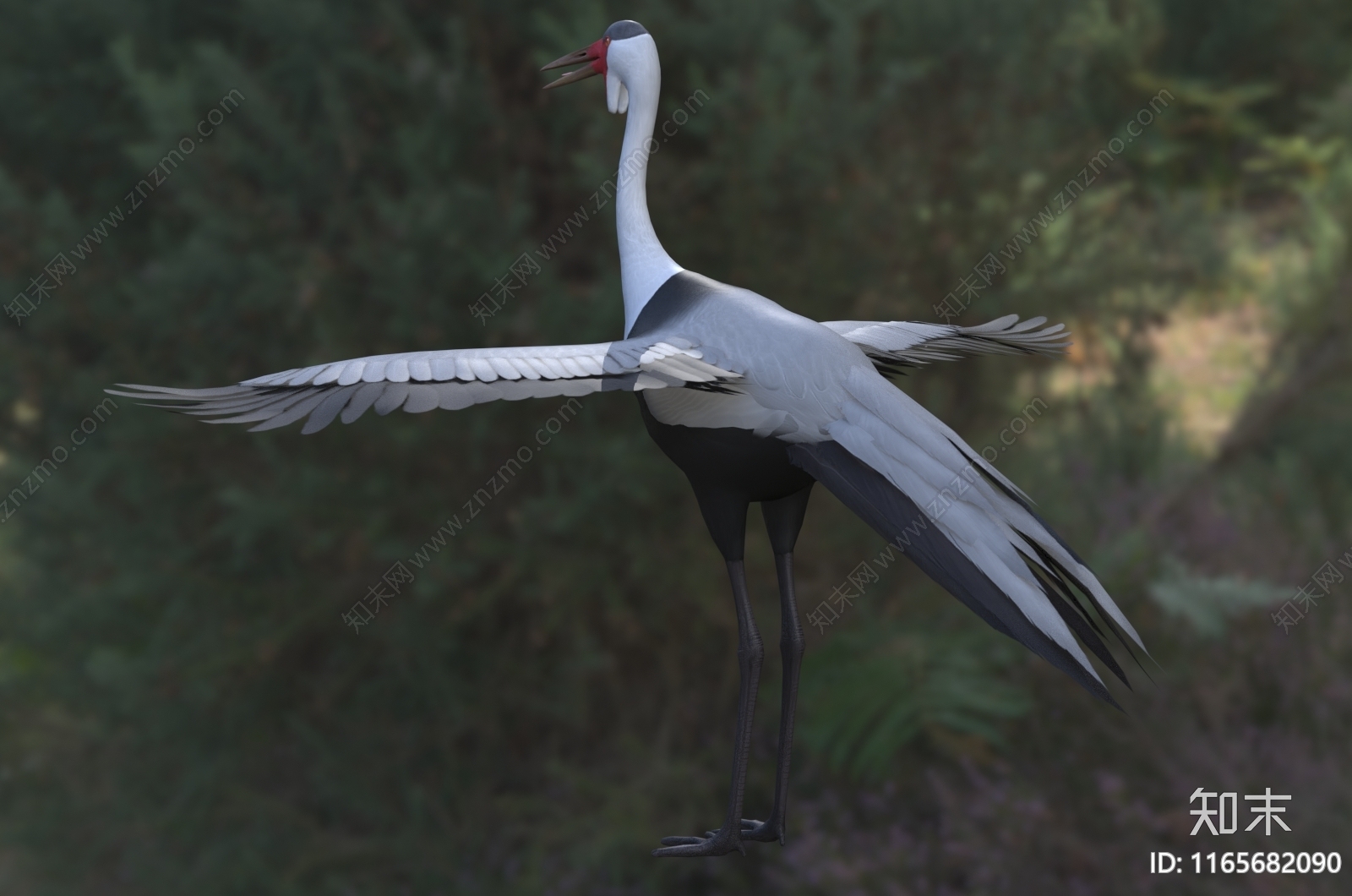 飞行类动物3D模型下载【ID:1165682090】