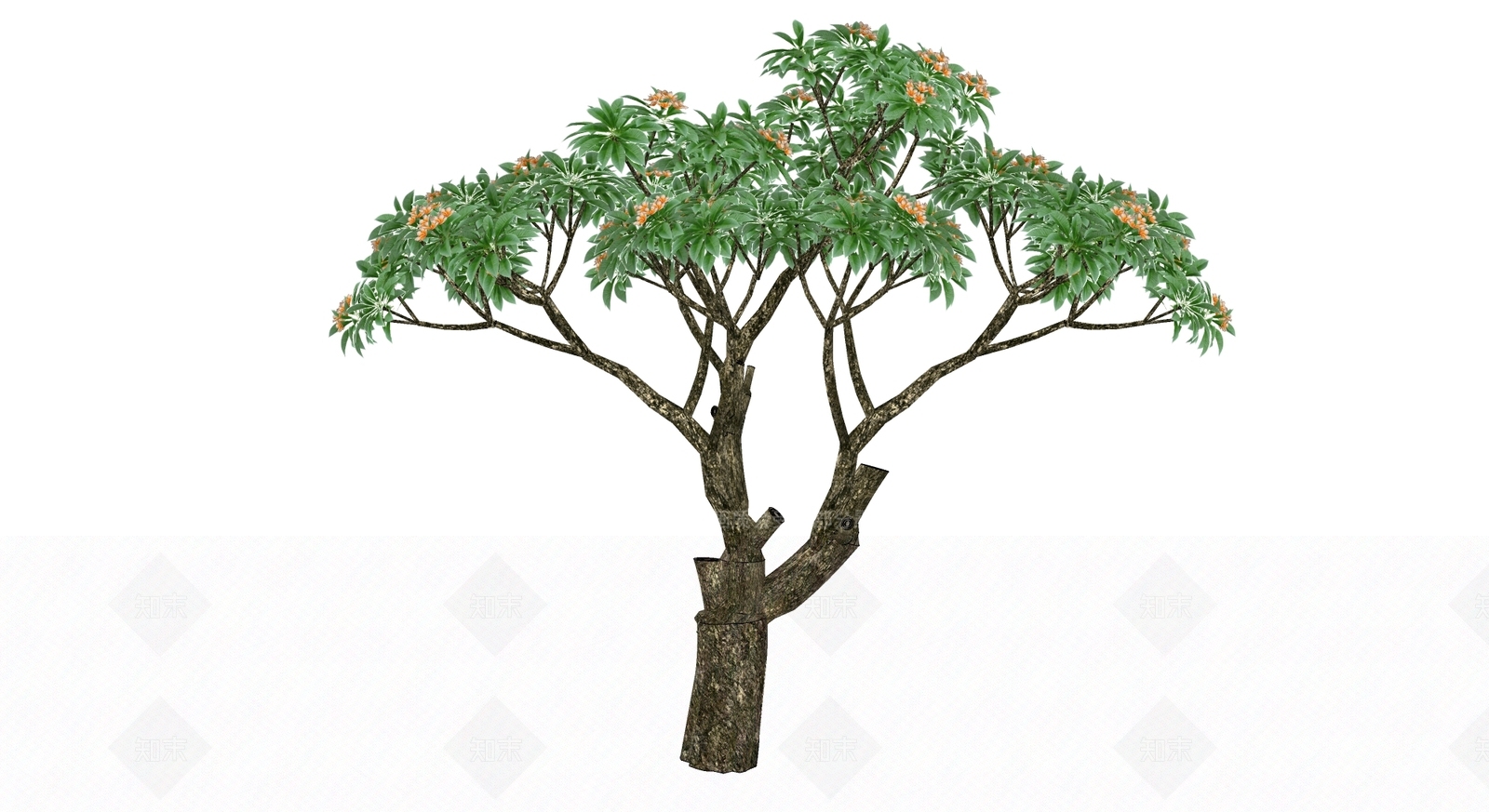灌木SU模型下载【ID:1165683192】